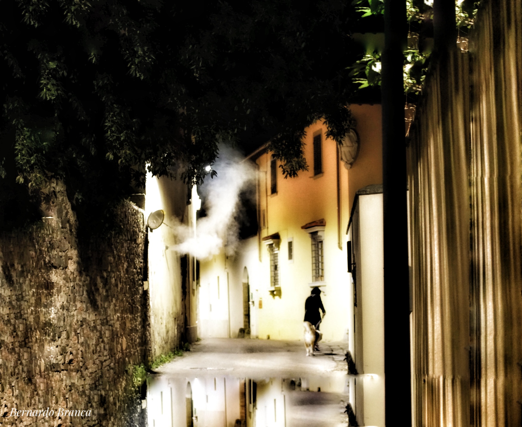 In the darkness