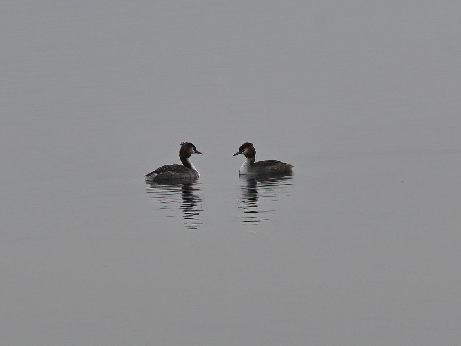 Winter at the lake