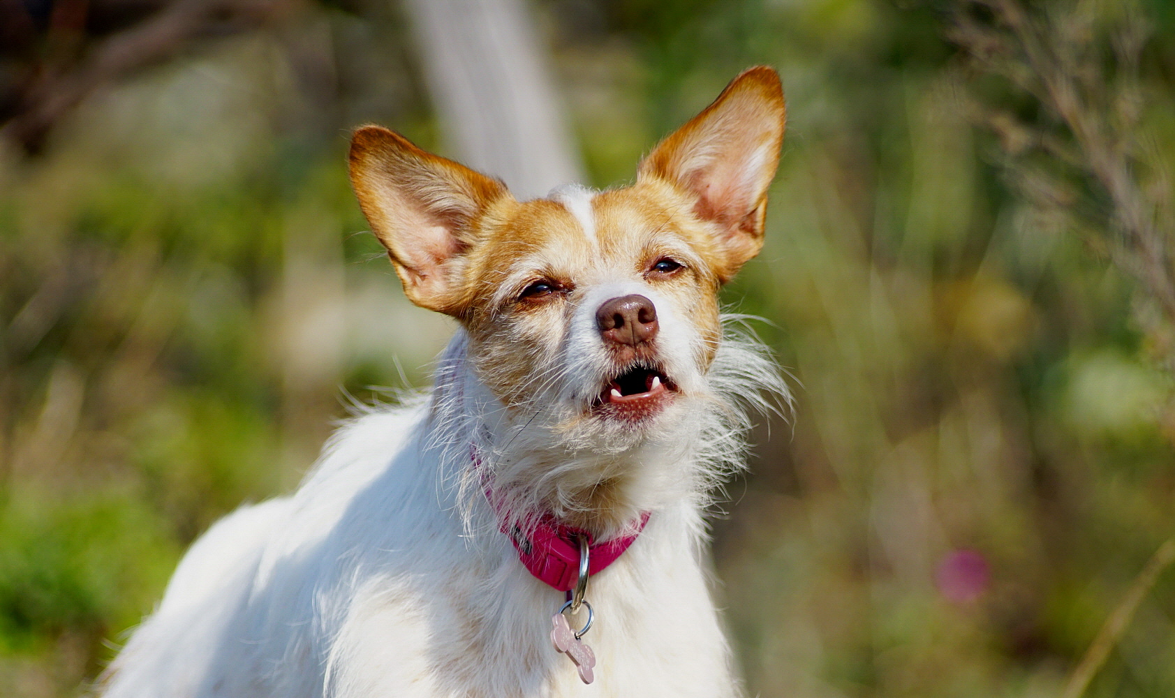 A rather lively little girl!!!