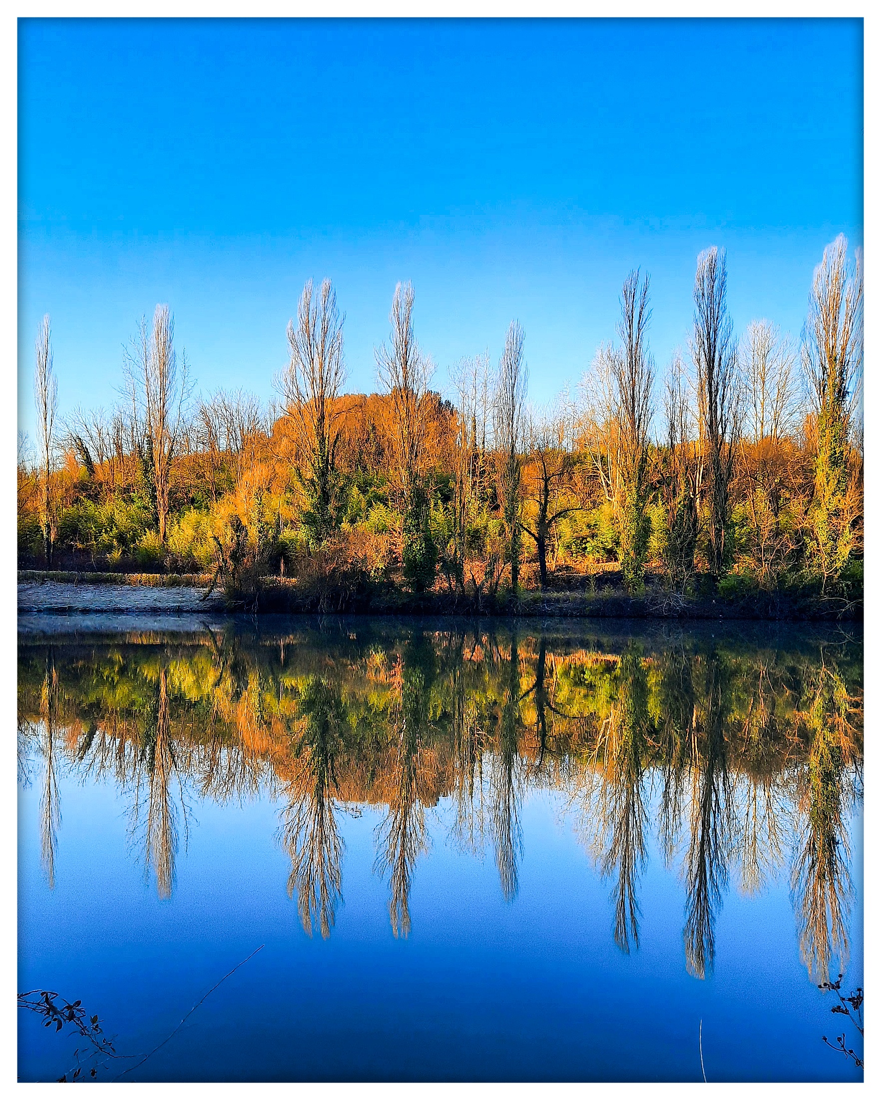 Riflessi