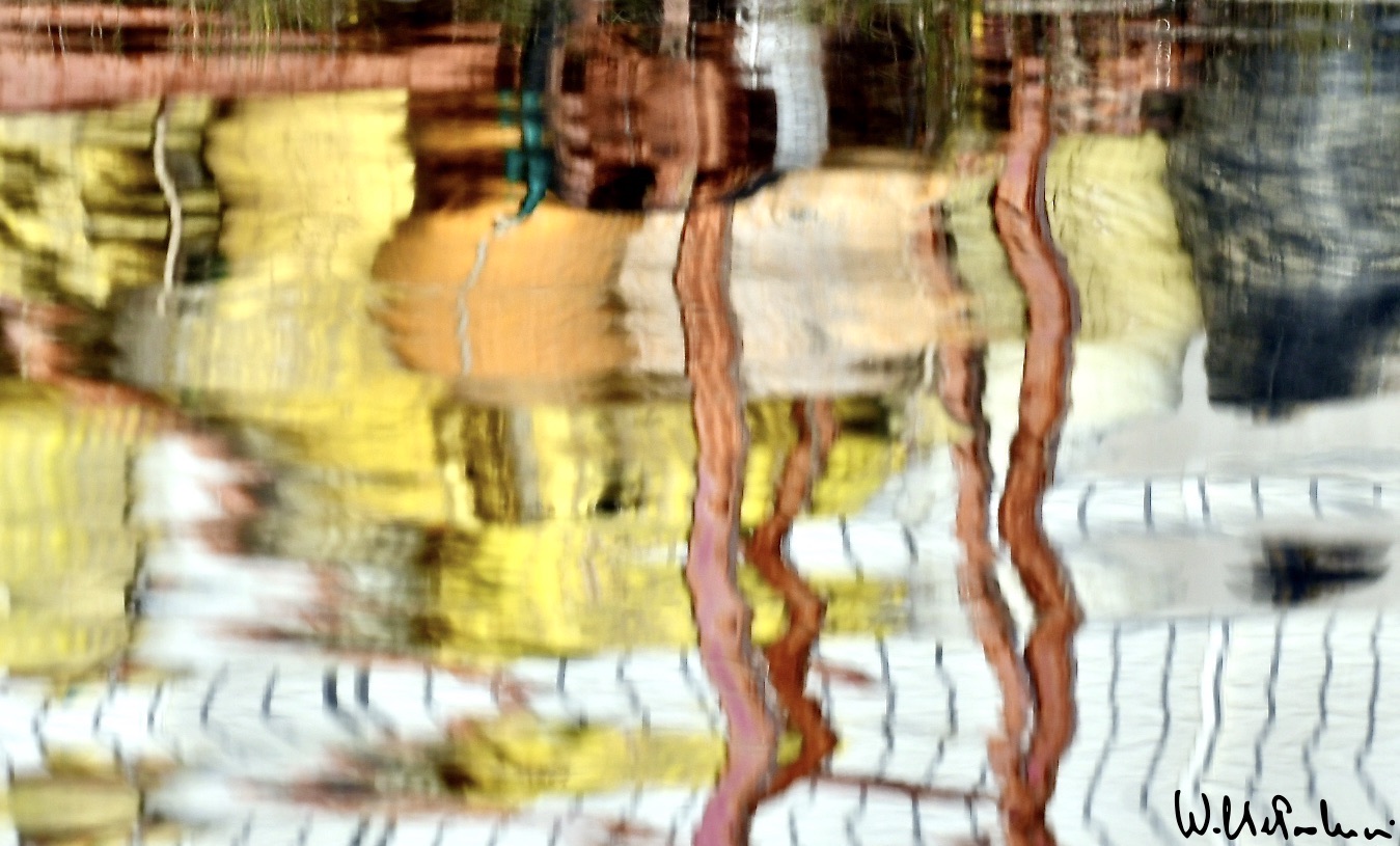 The colors of the river 12