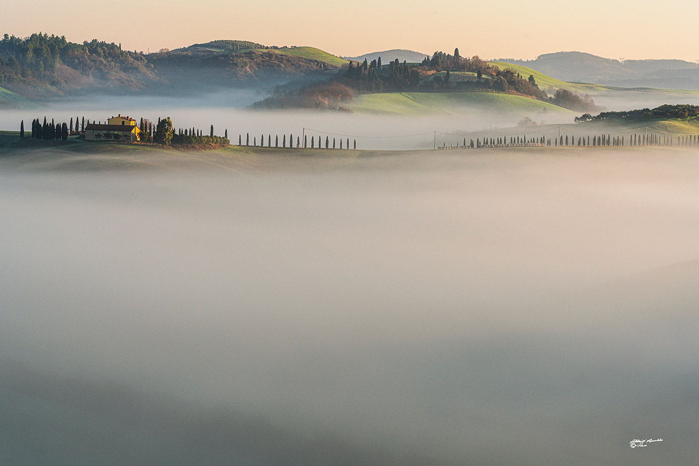 Sentinelle a guardia della nebbia..