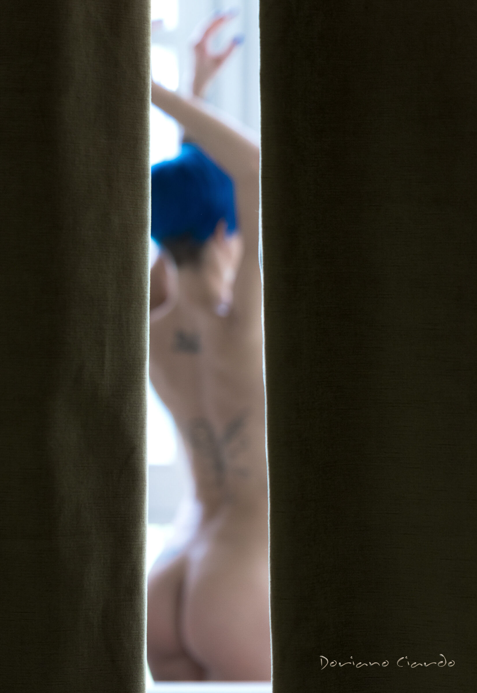 All rights reserved. Copyright © Doriano Ciardo