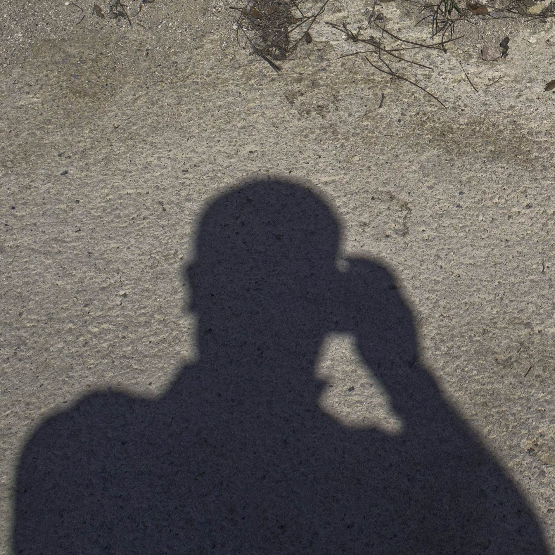 Logo della "Anonima Fotografi"