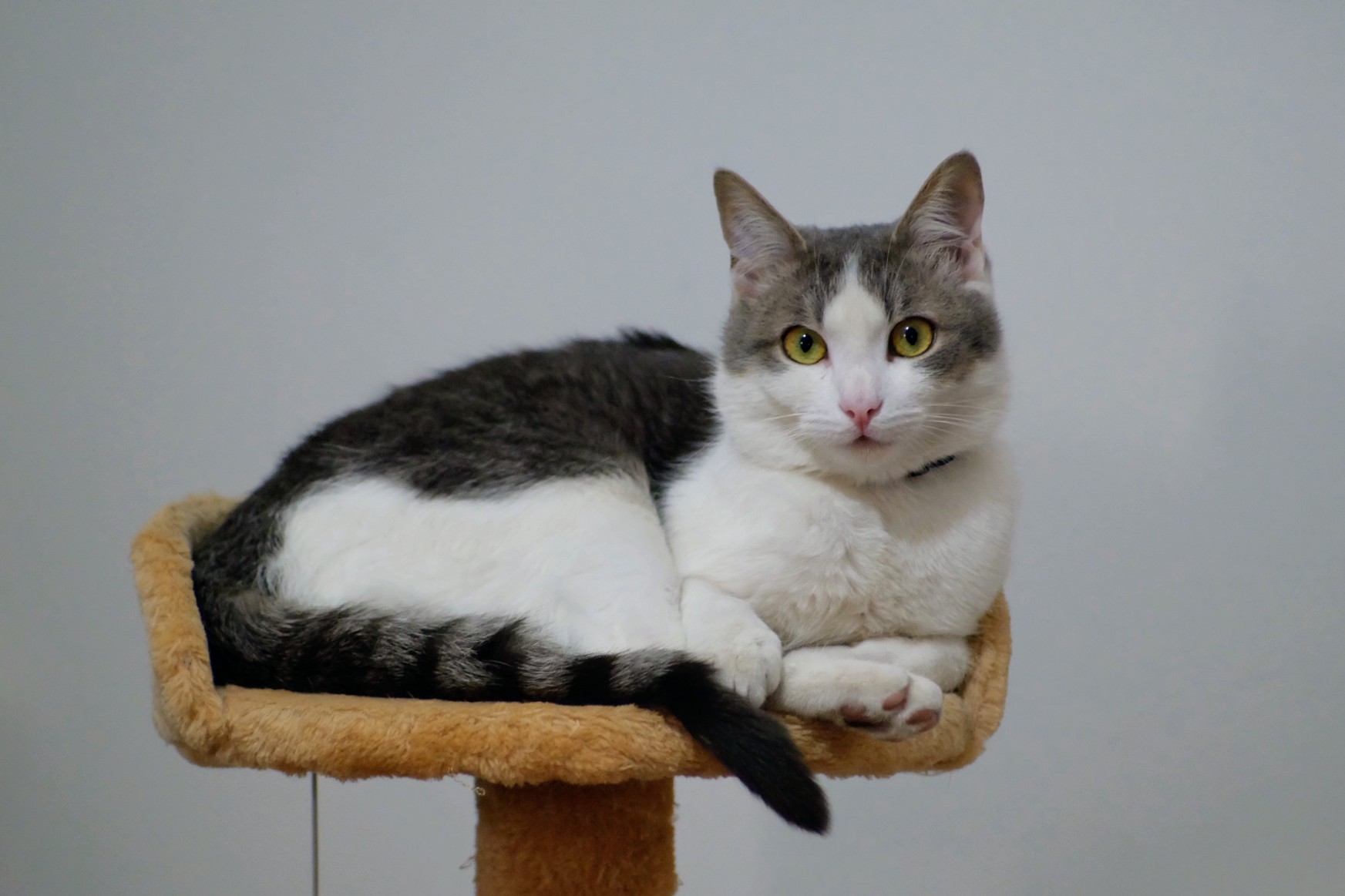 Beh... stavo pensando....