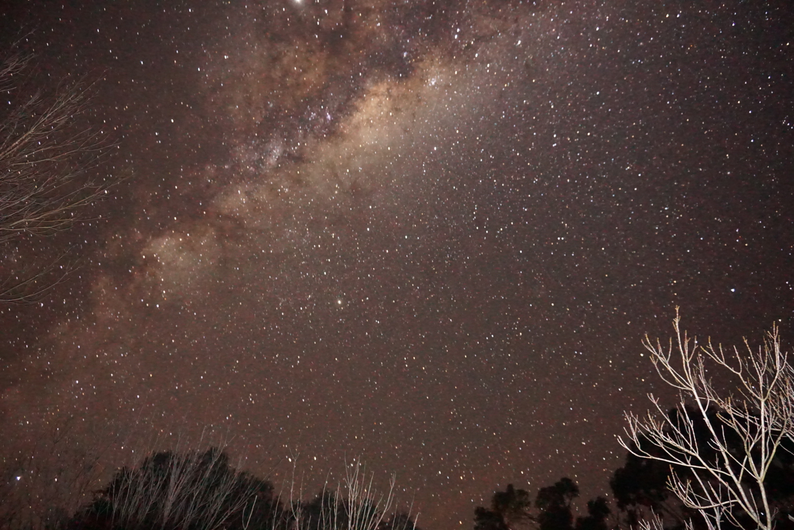 Austral milky way