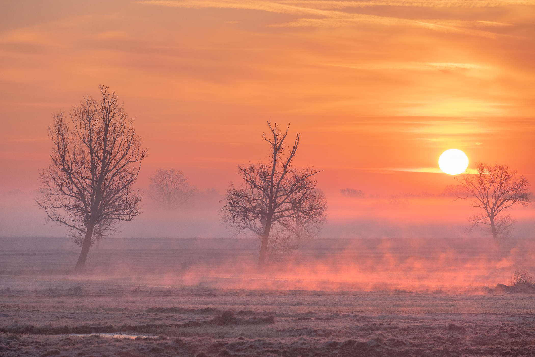 la bellezza della natura