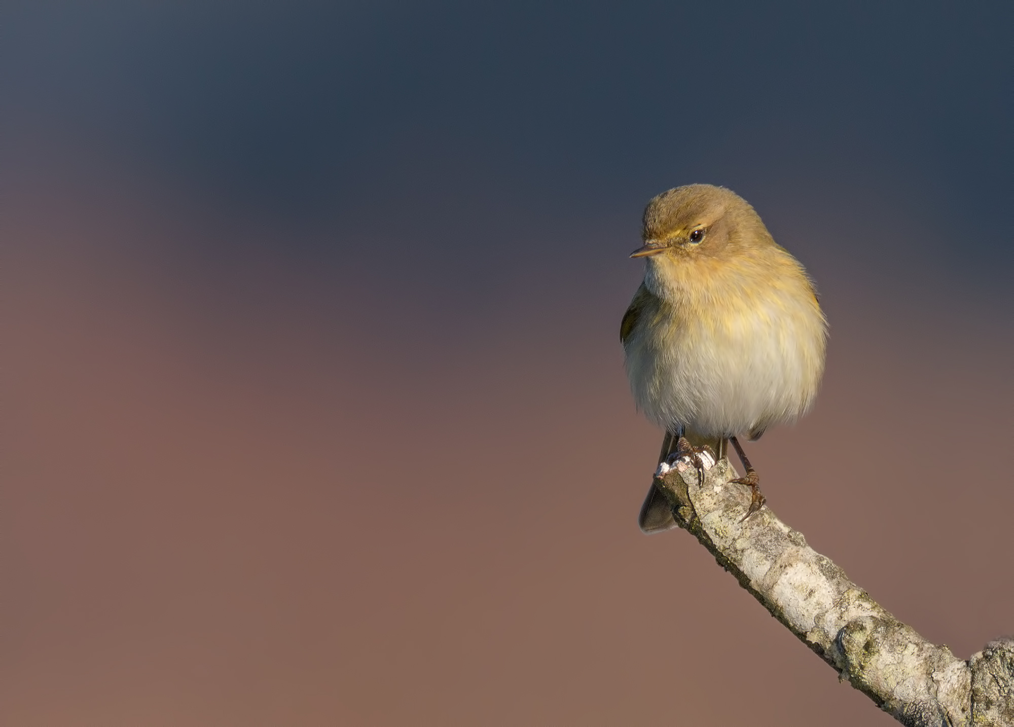 Lago di Porta- Lui Piccolo