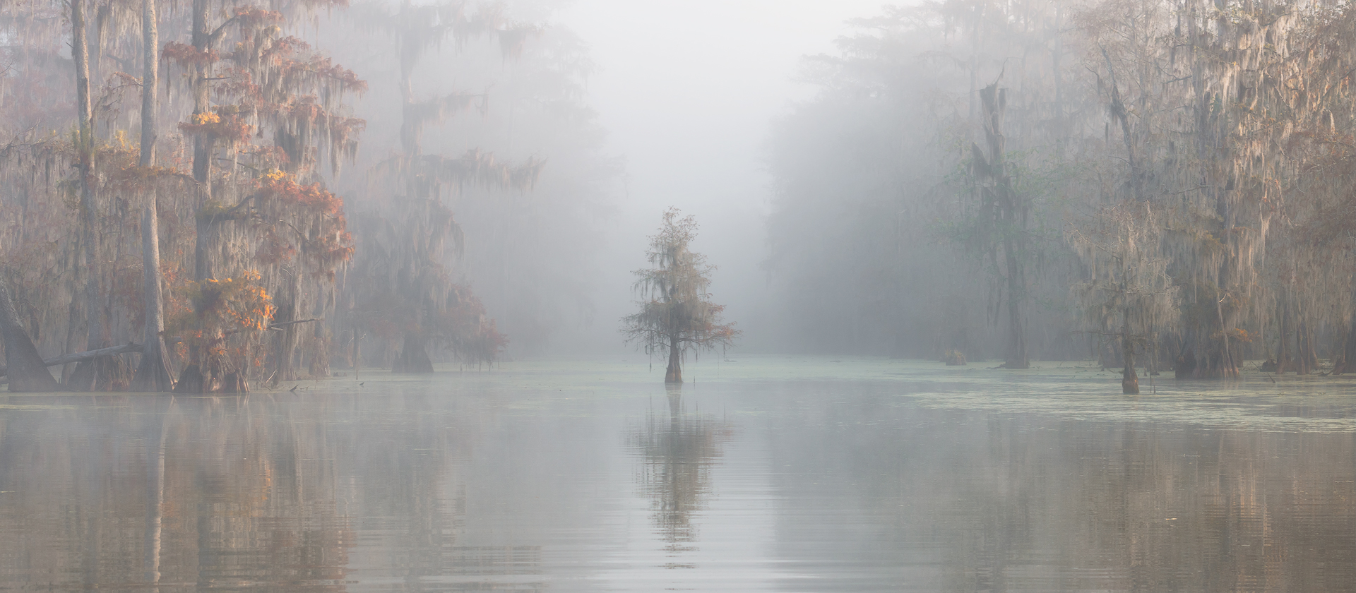 Misty Bayou
