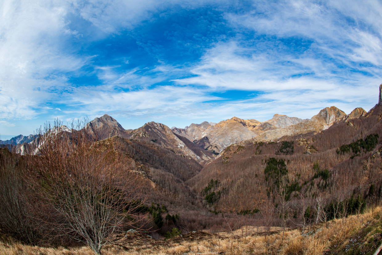 Apuane