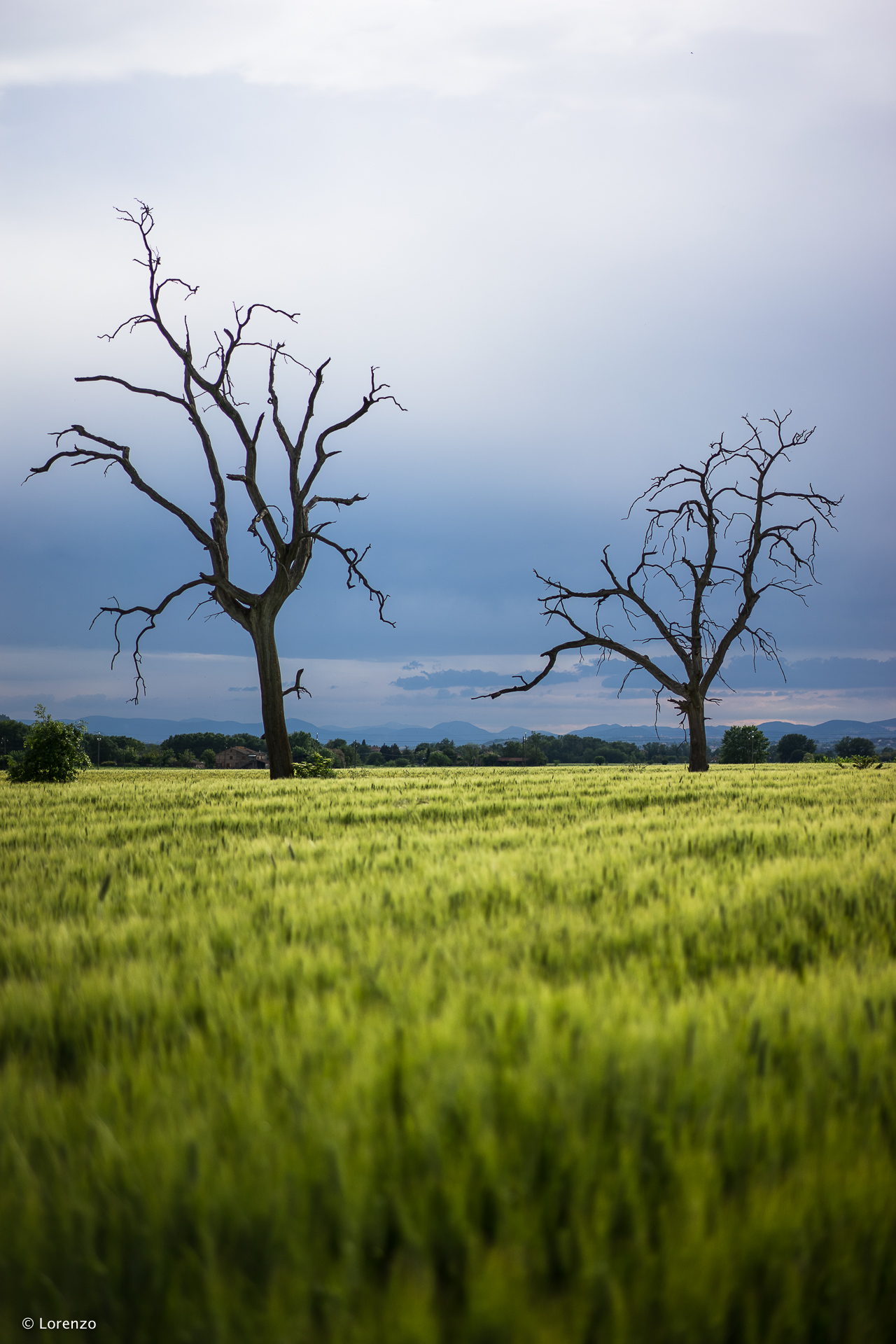 Macerata countryside