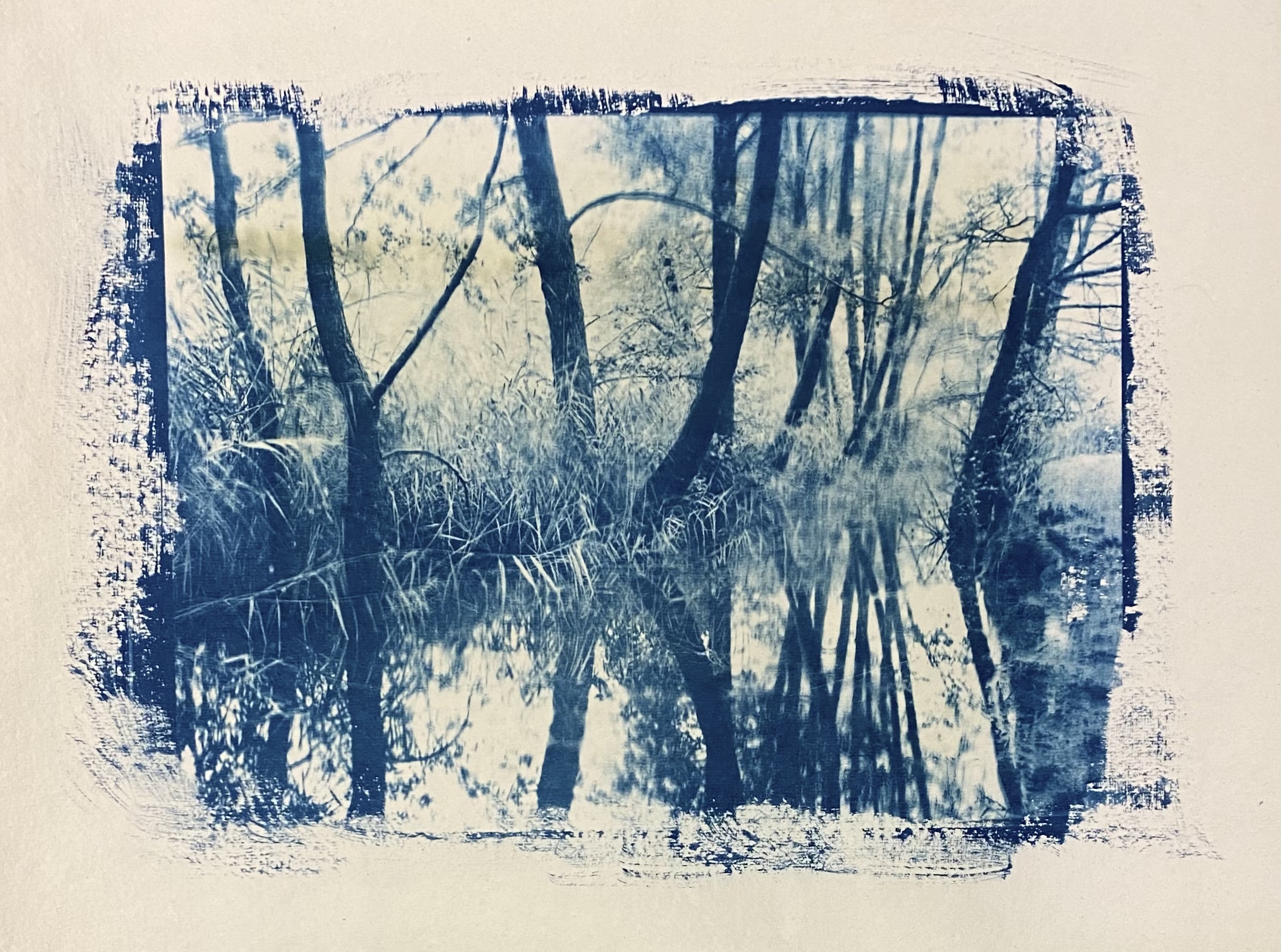 Primo esercizio con la cianotipoa