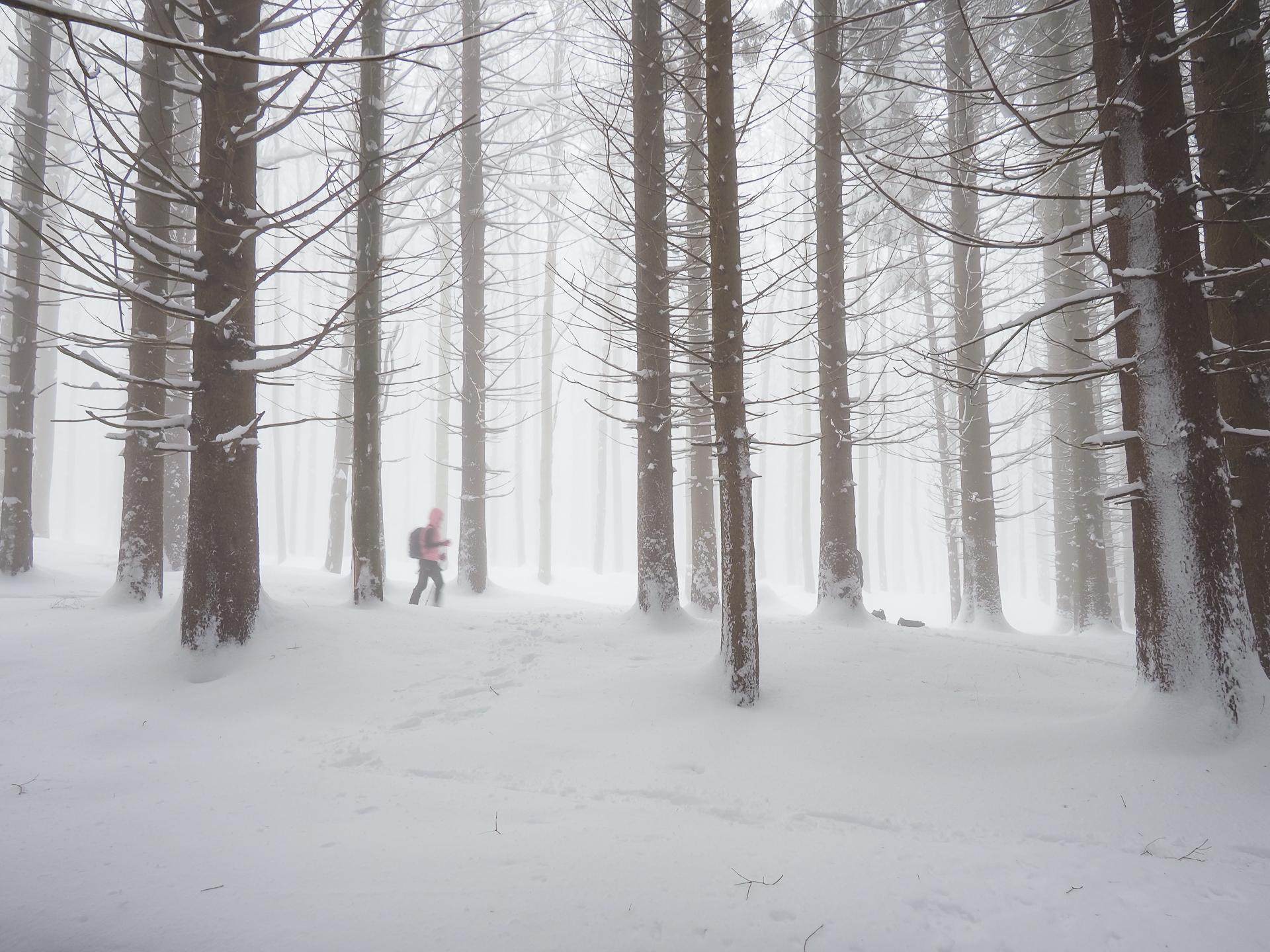 Ghosts in the fog