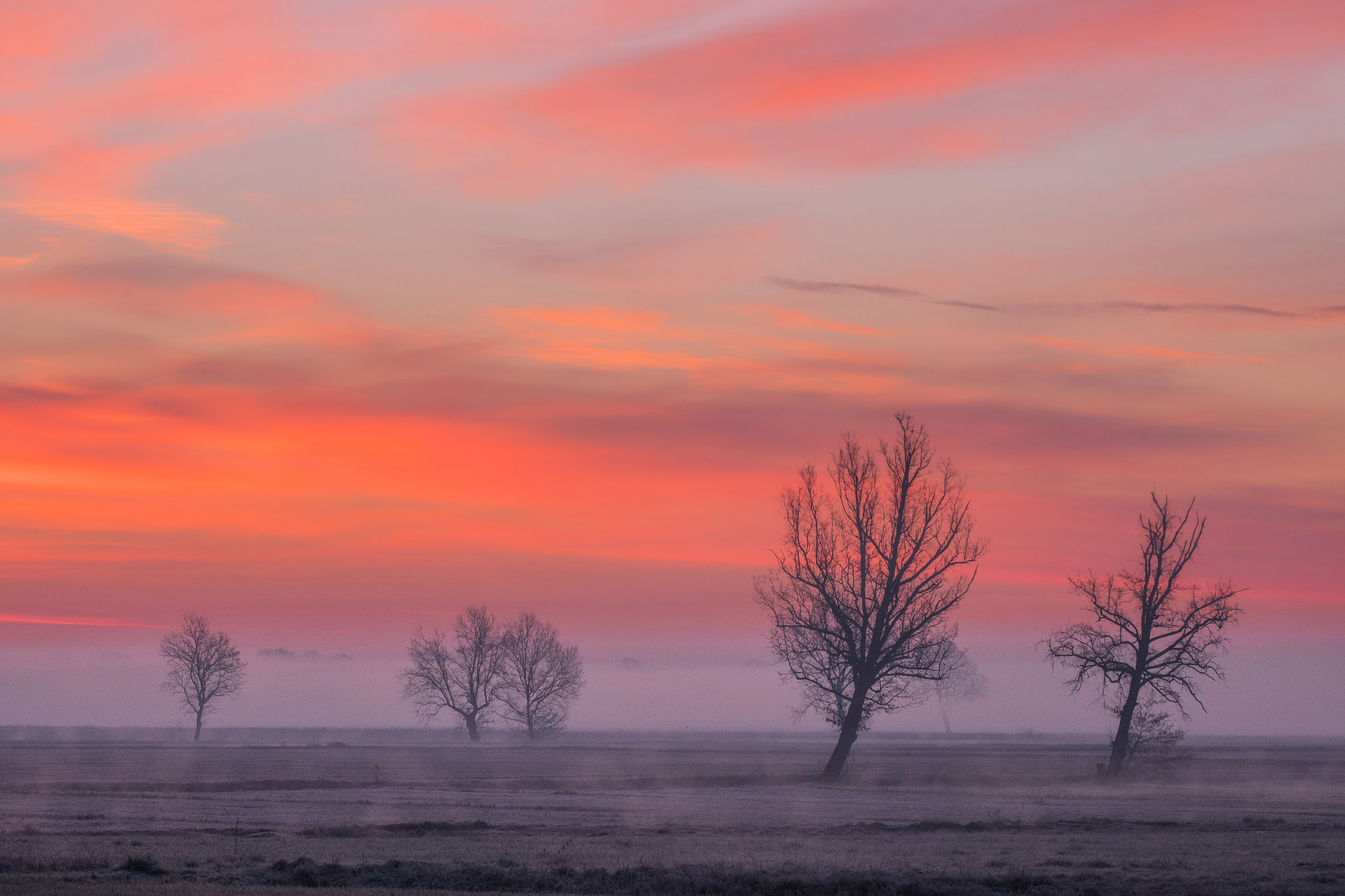 l'alba  i suoi colori e la sua bellezza