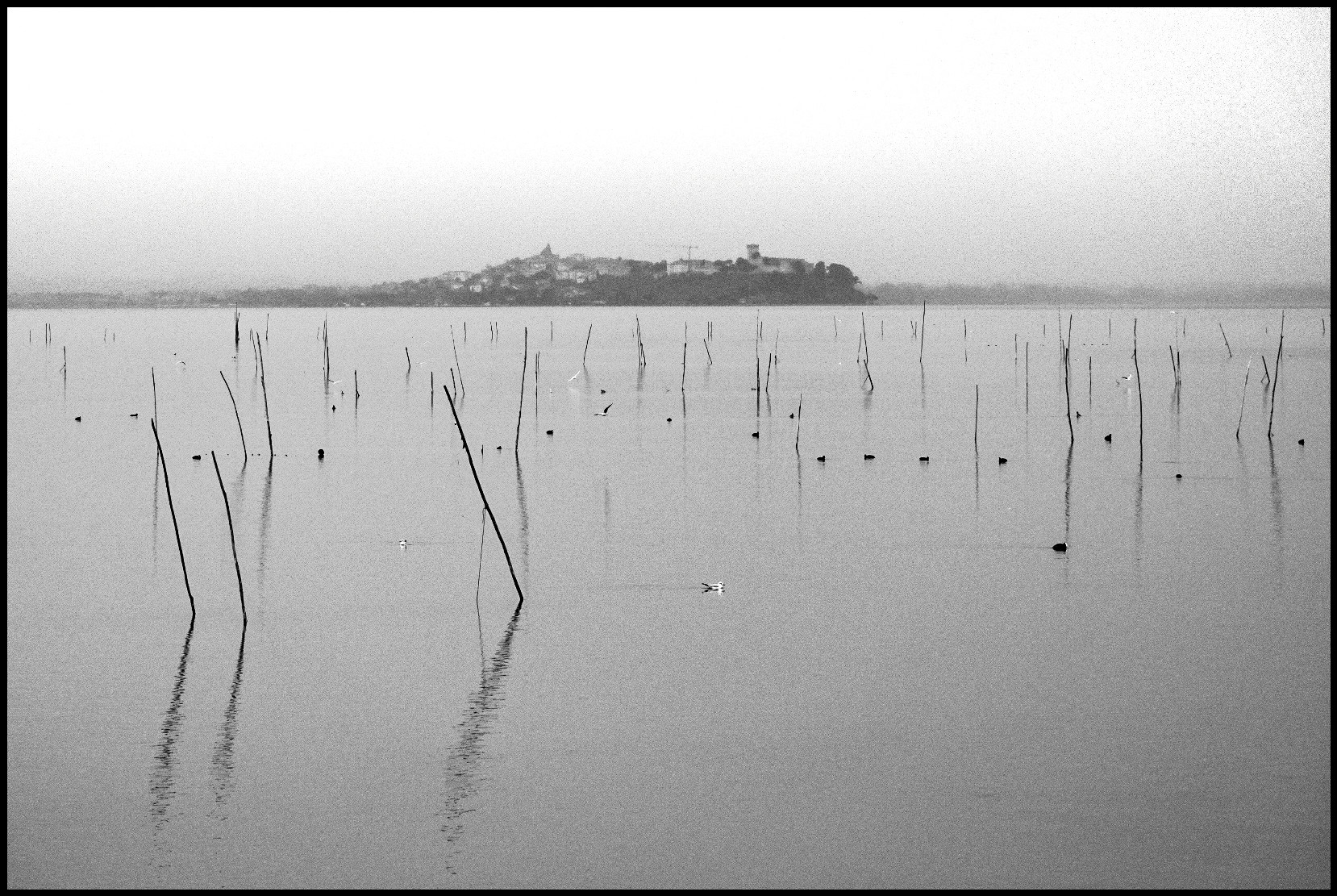 Lake Trasimeno