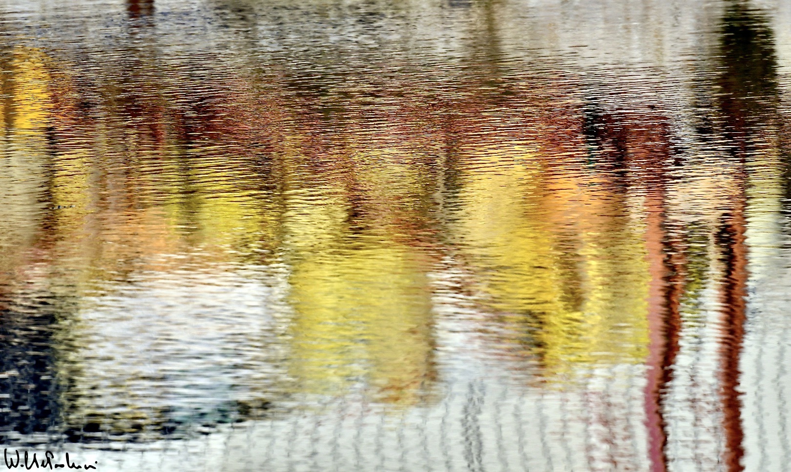 The colors of the river 13