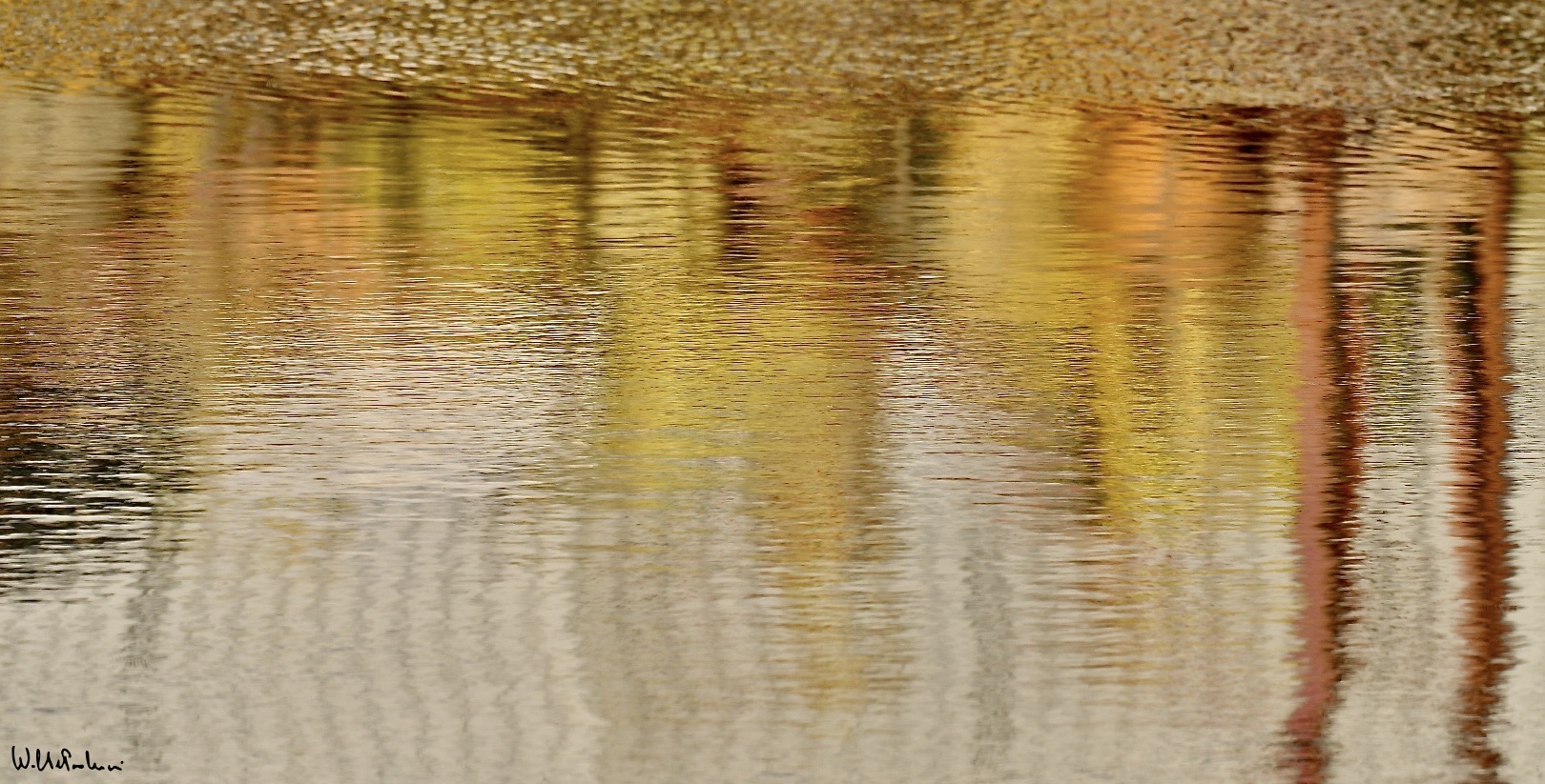 The colors of the river 15