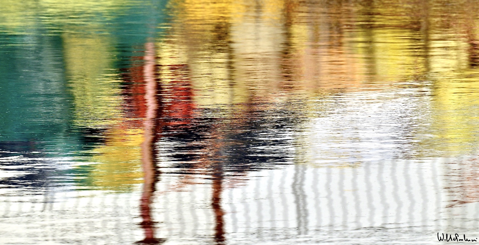 The colors of the river 16