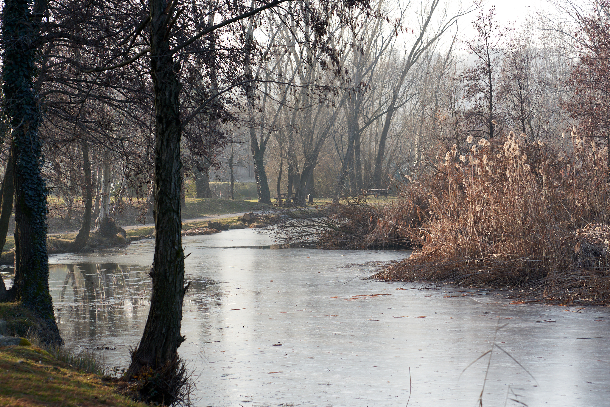 Lago Sartirana invernale