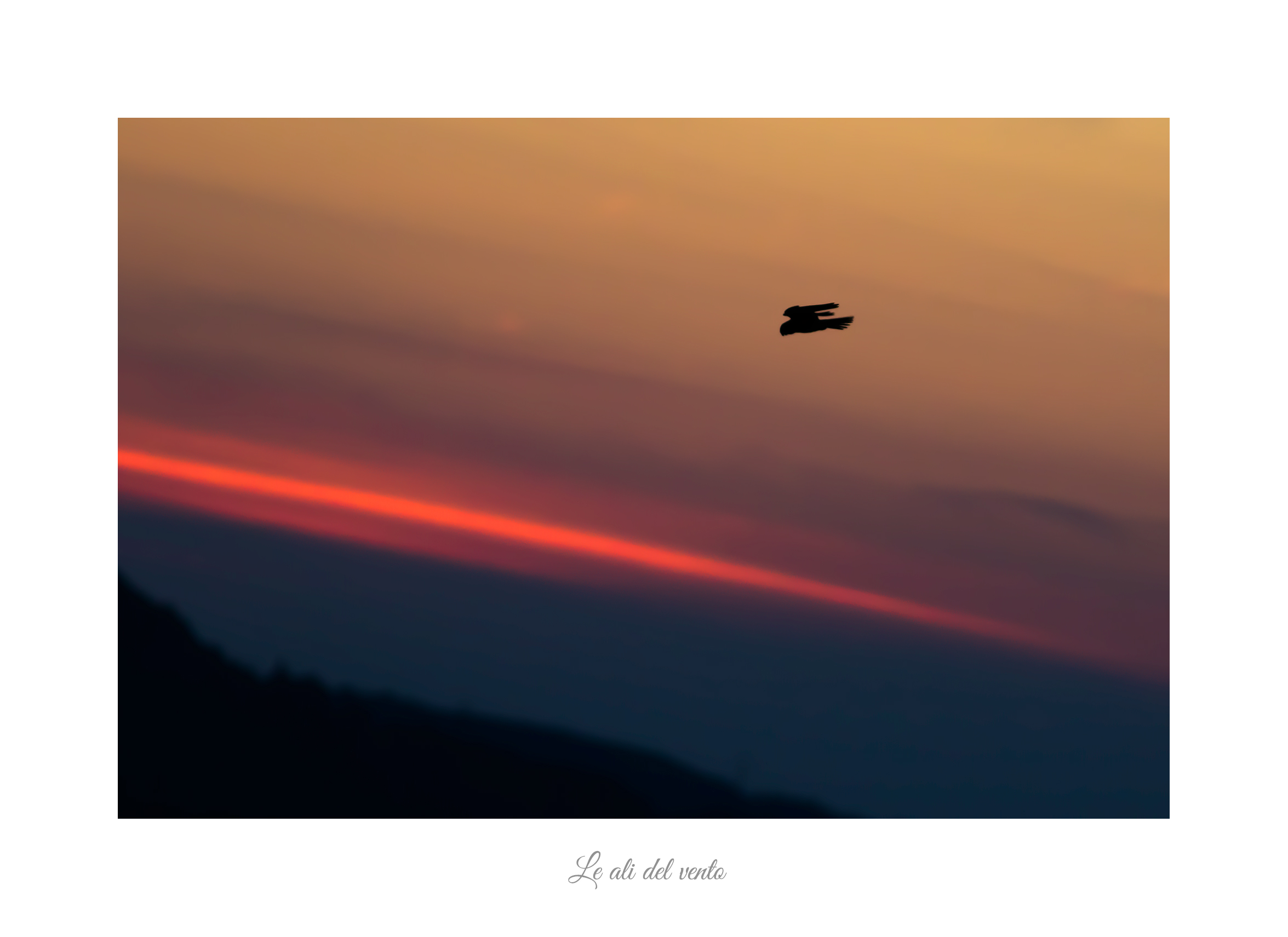 Le ali del vento