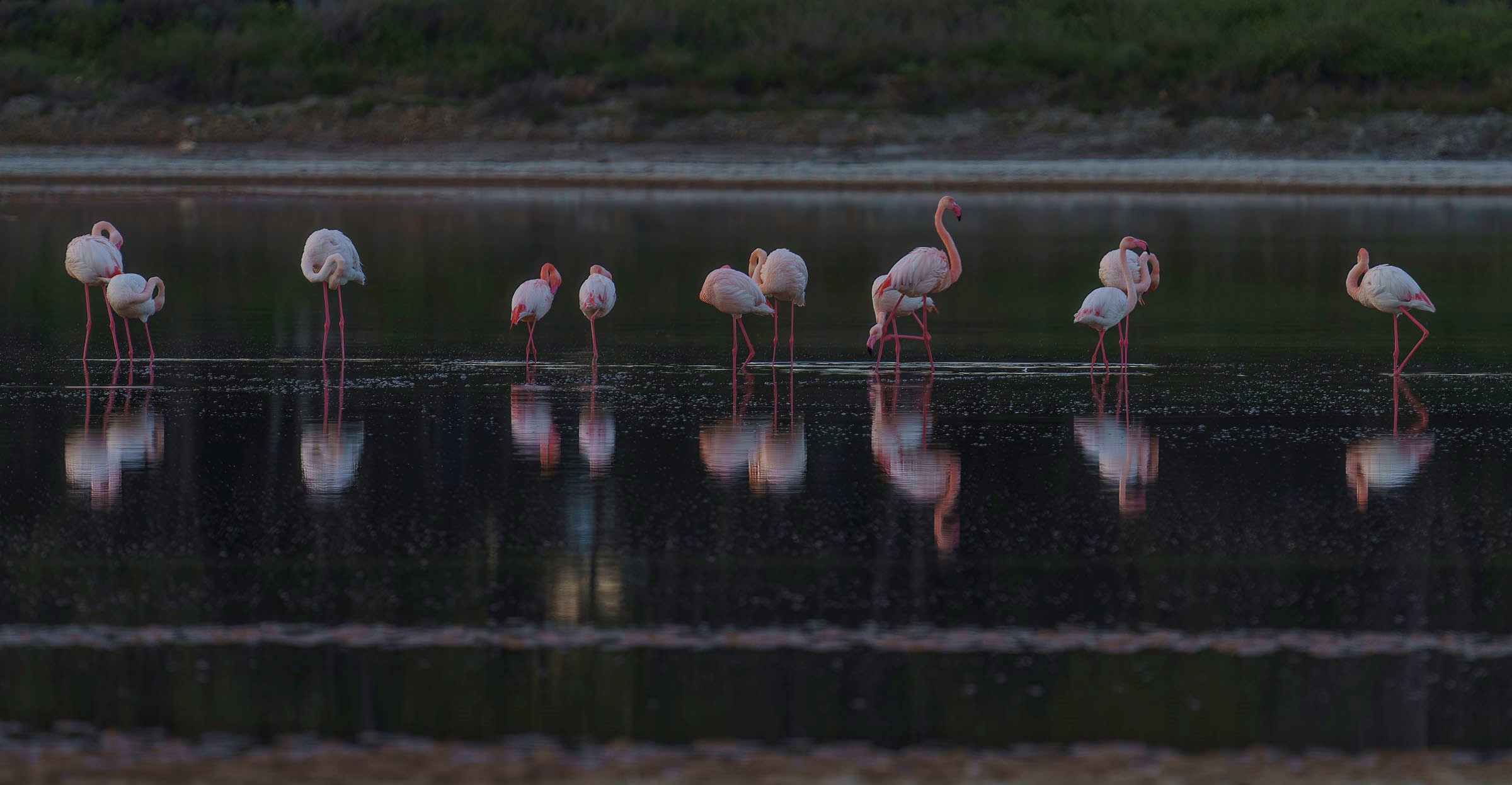 Difficile metterli in riga