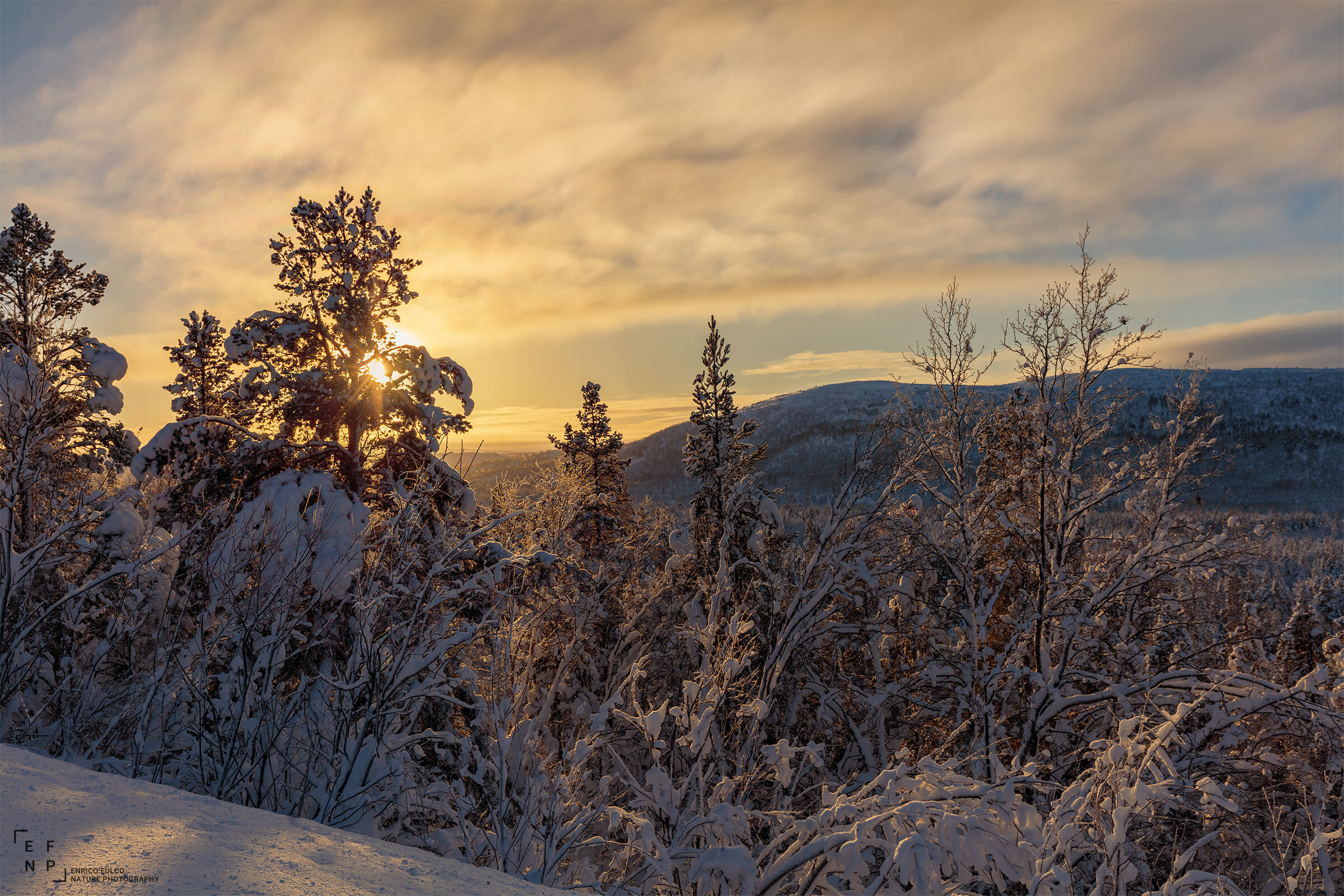 Frozen land