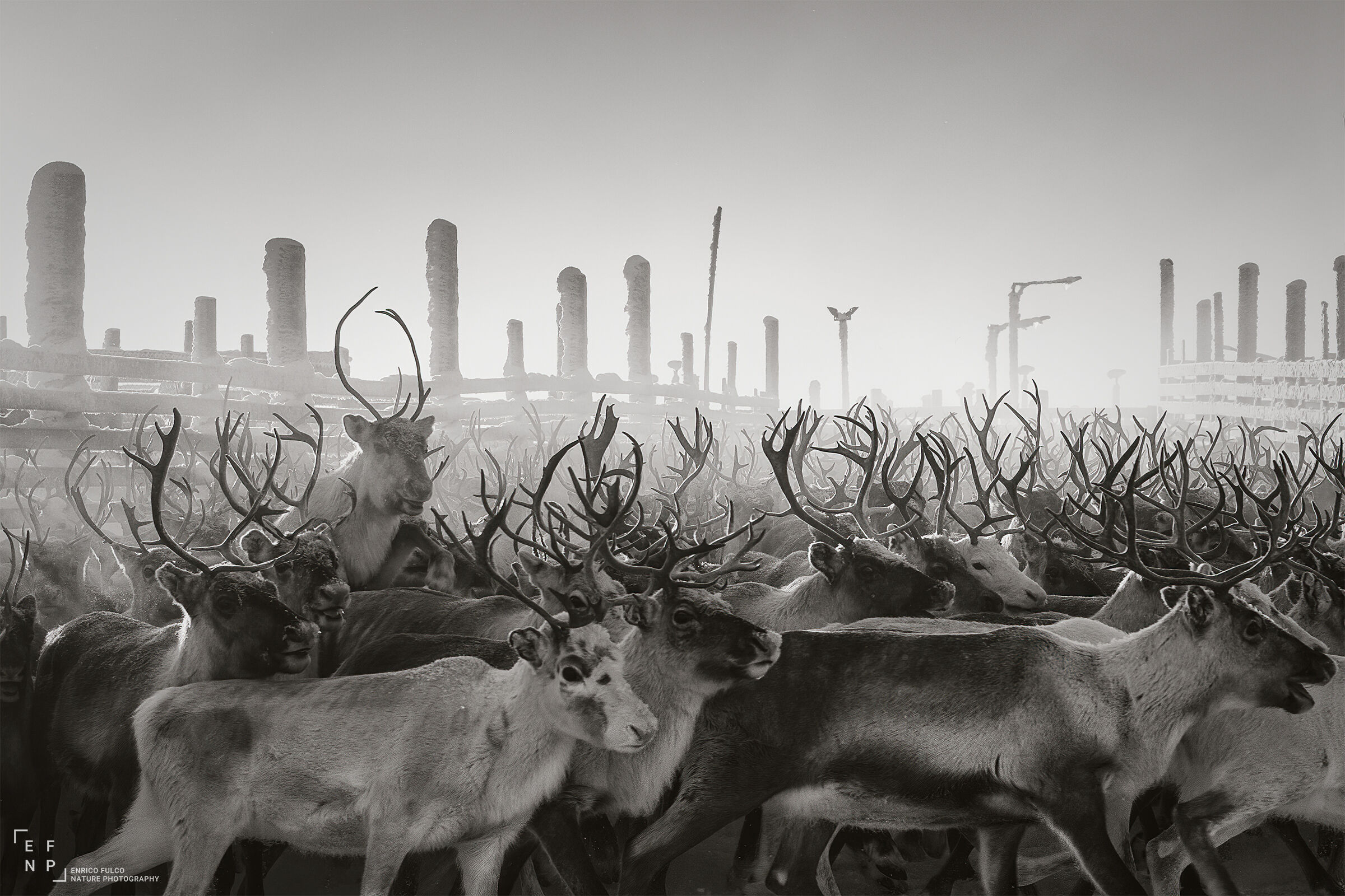 In the land of the Sami