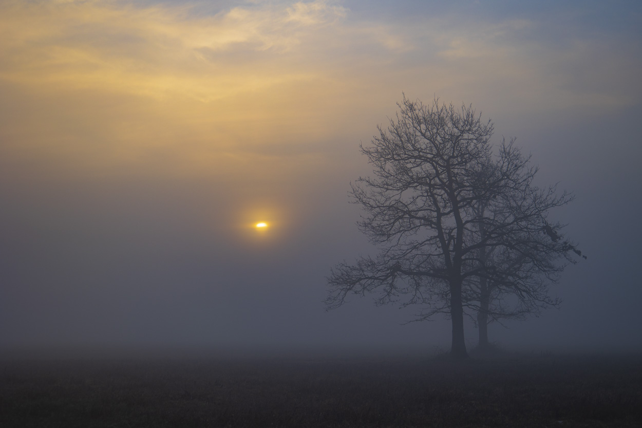 Una bella giornata di nebbia