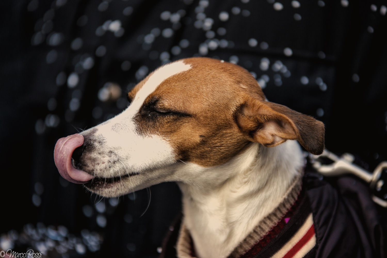 Mannaggia non ci arrivo alle orecchie