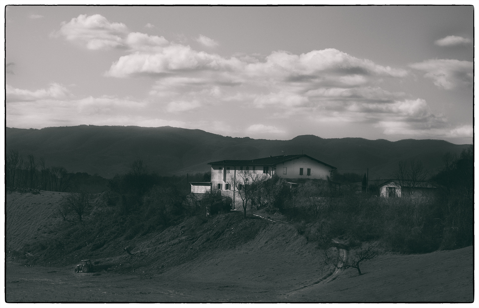 Untitled Photo