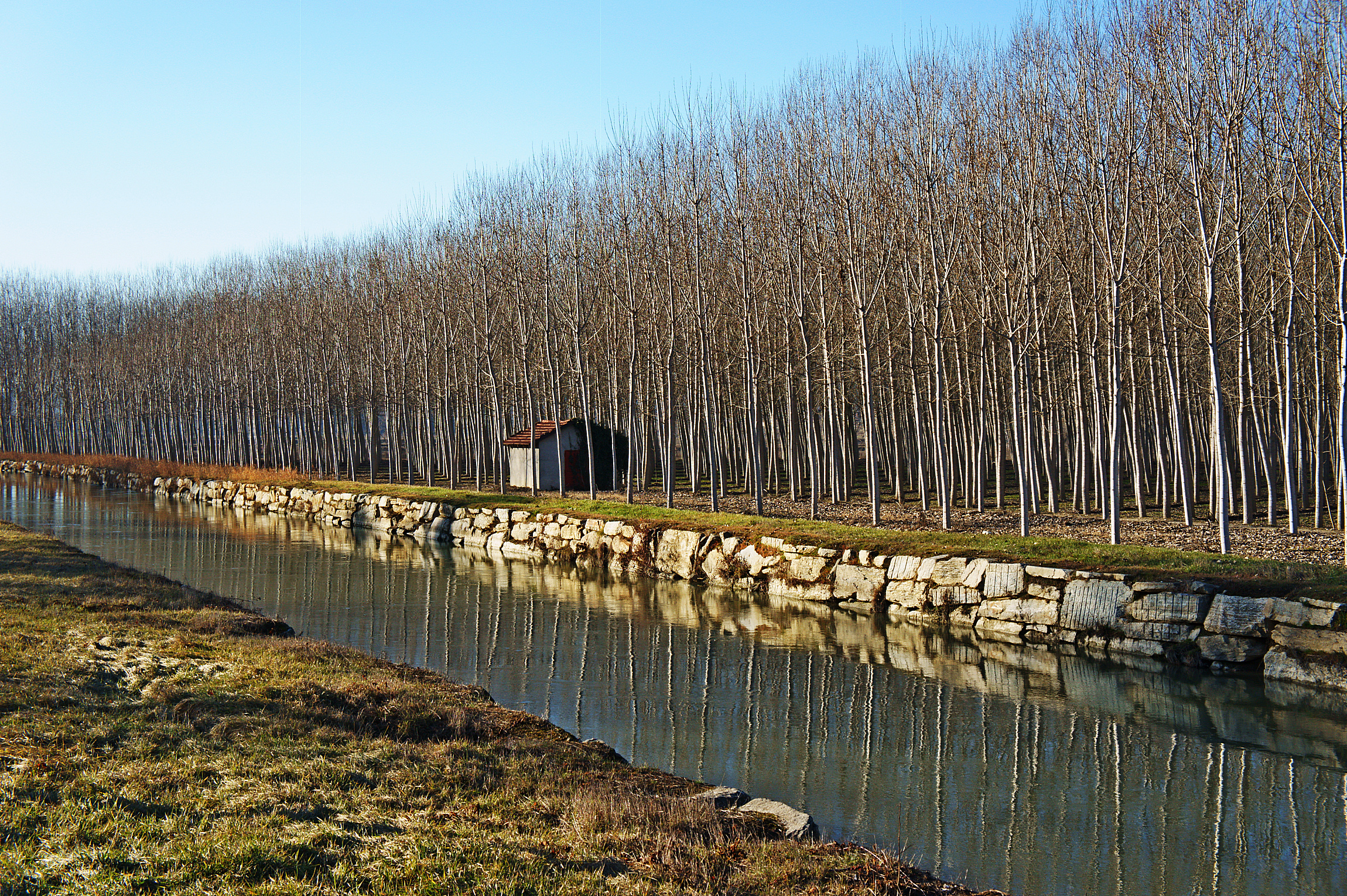 Il canale