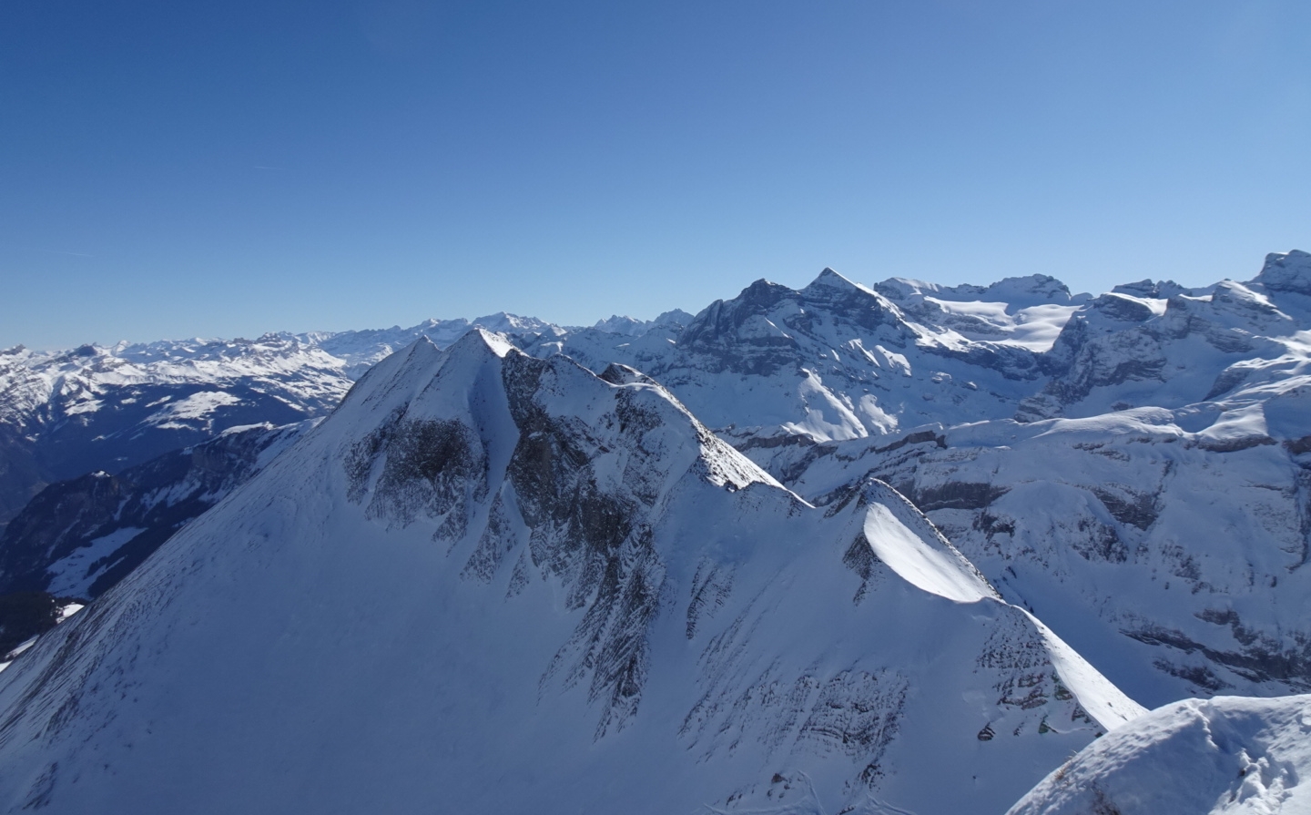 La cresta affilata ...