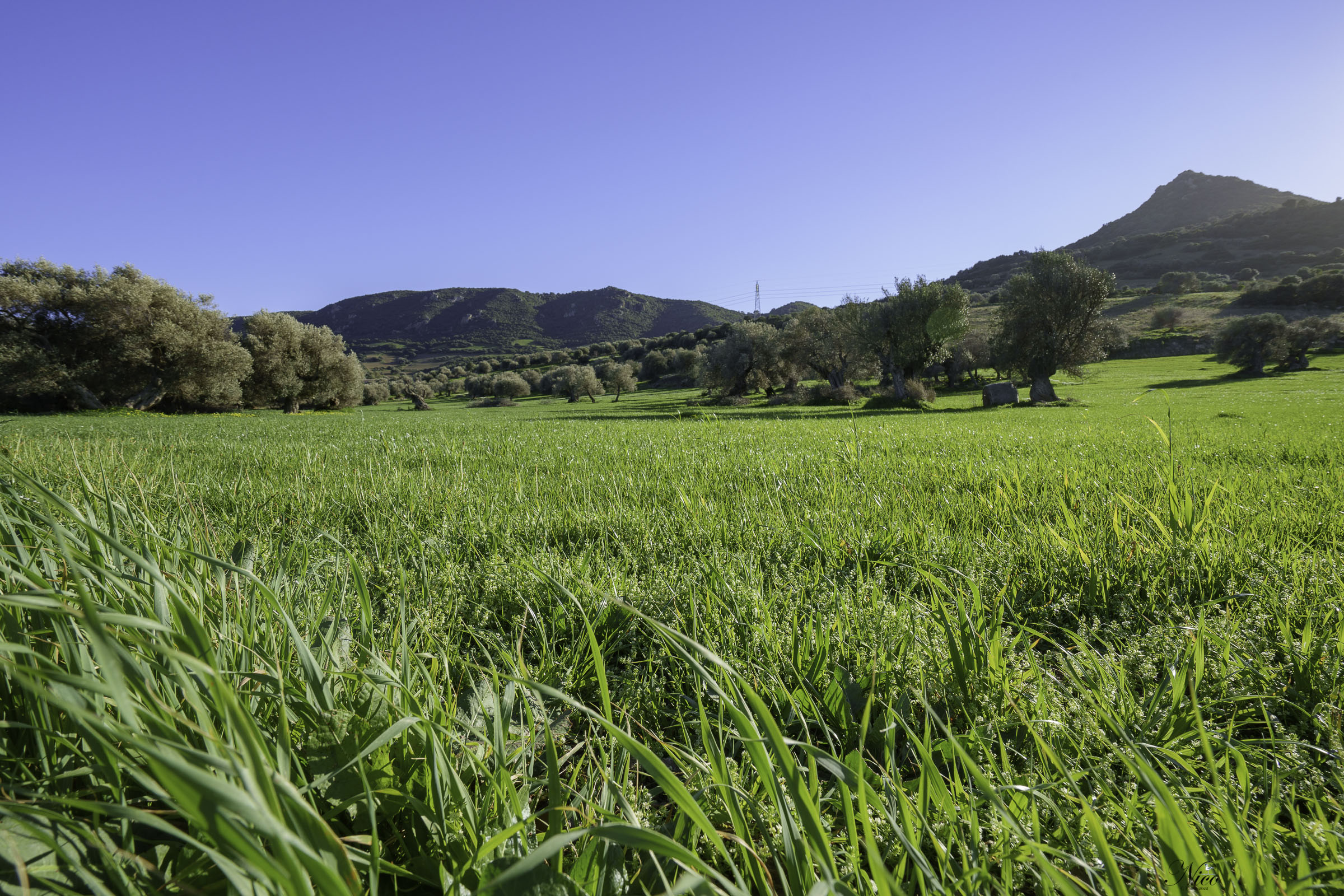 Primavera alle porte