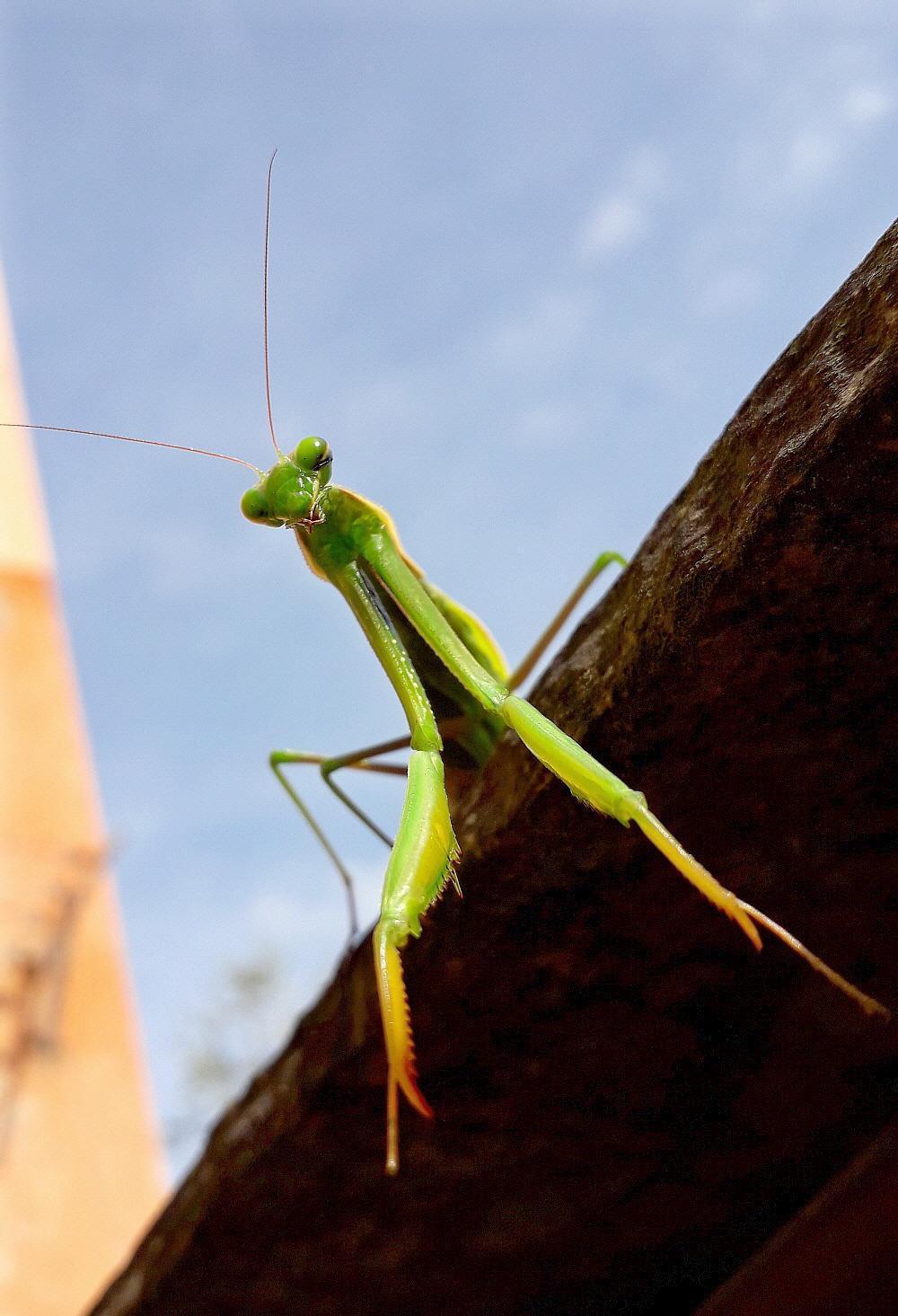 Vieni amico che ti do' una mano!!!