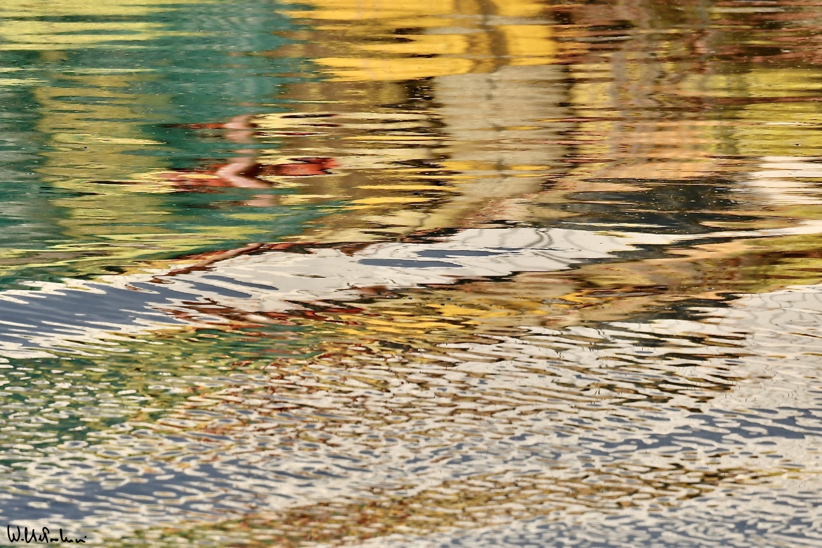 The colors of the river 18