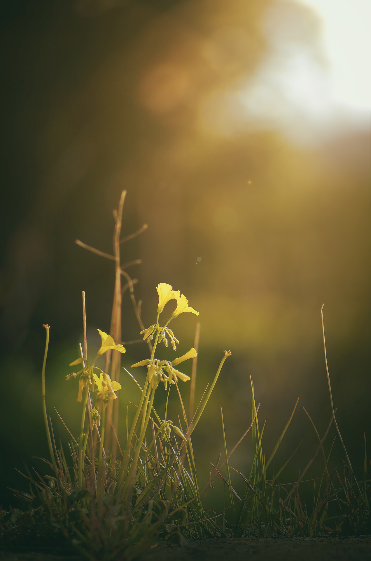 Untitled Photo