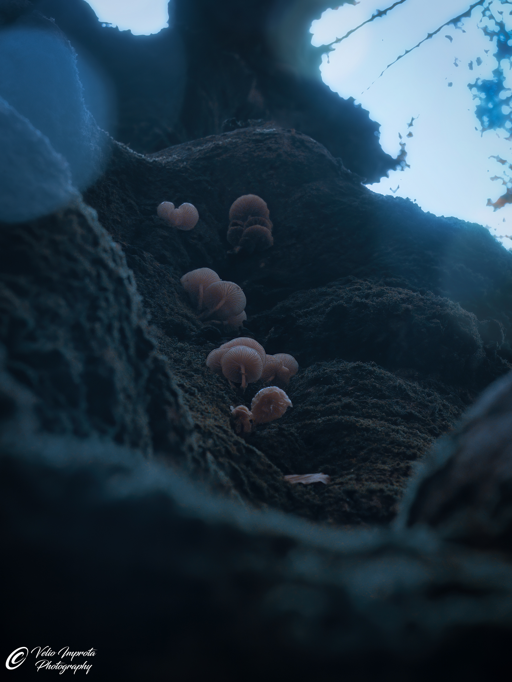 They observe us from above