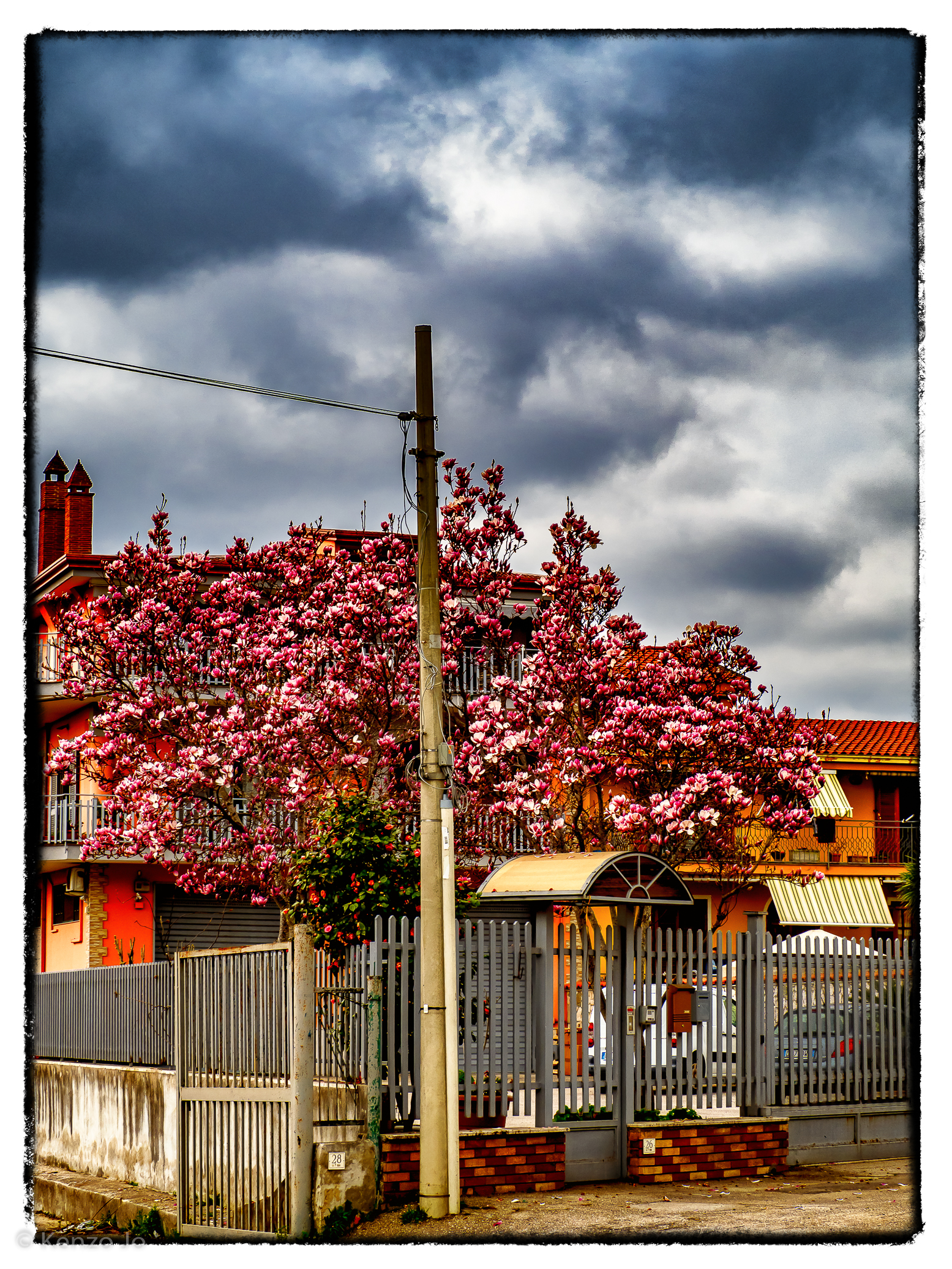 Dramatic vintage