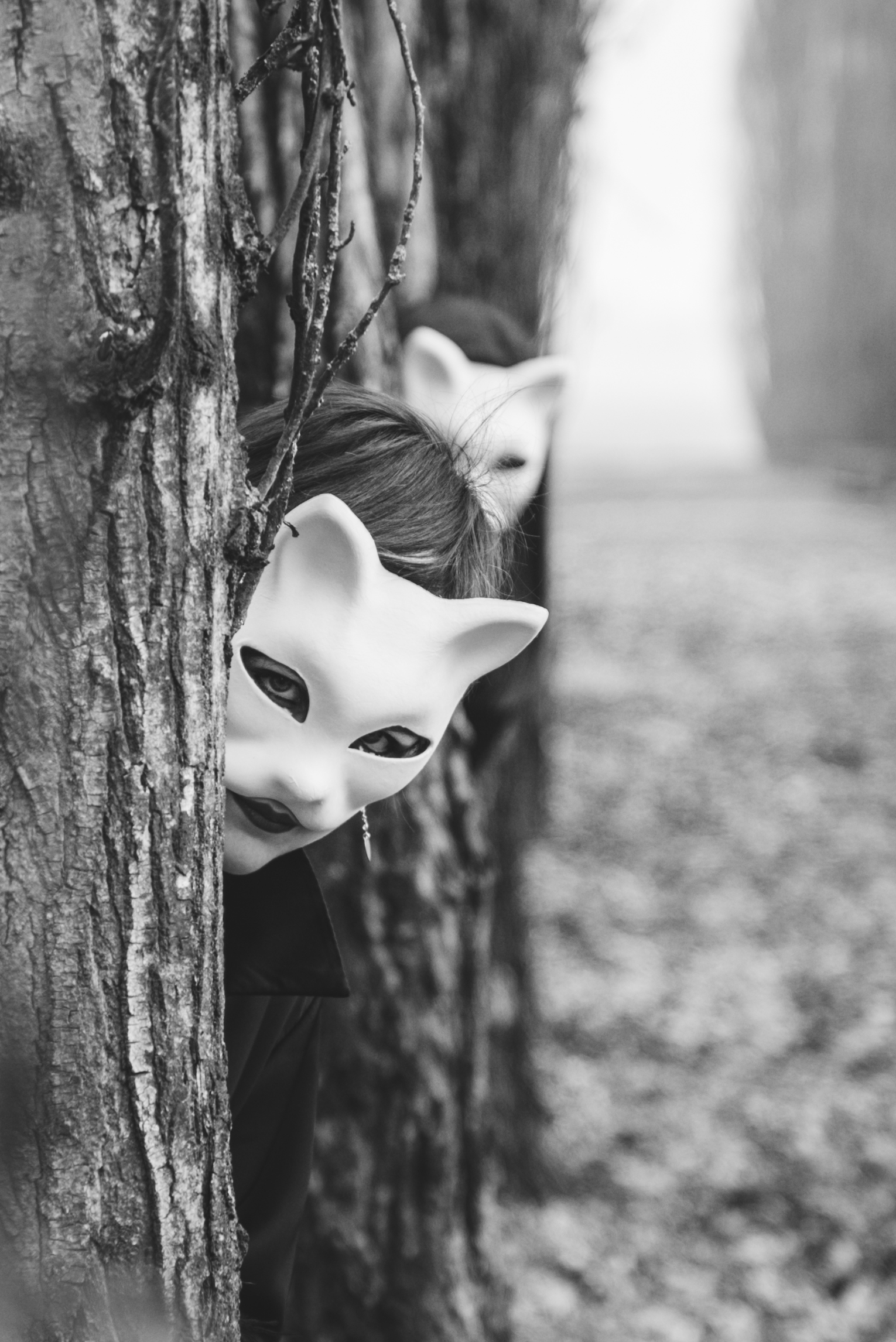 Cats