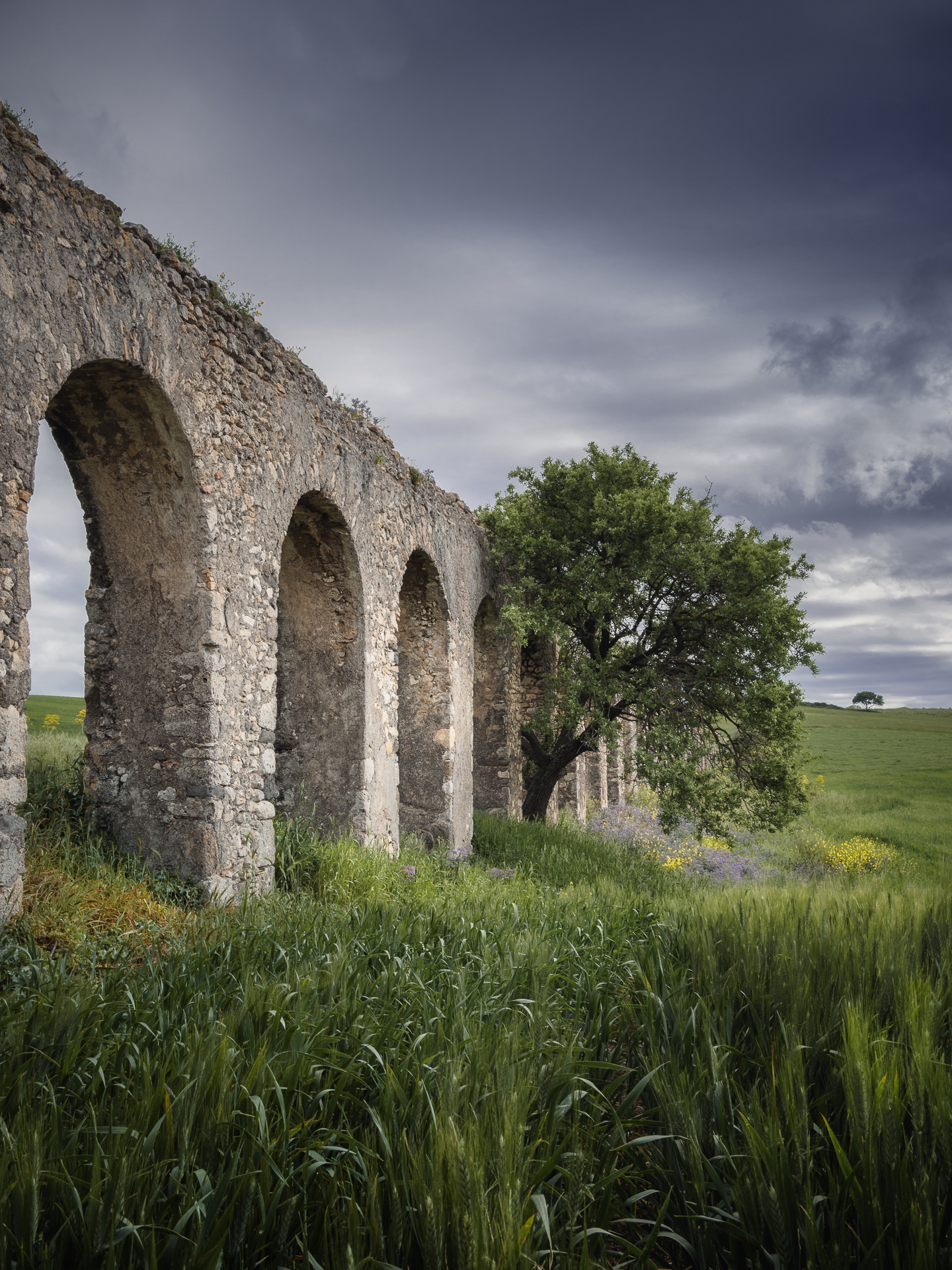 Ancient aqueduct of the Arcatelle Monte Romano ( VT )