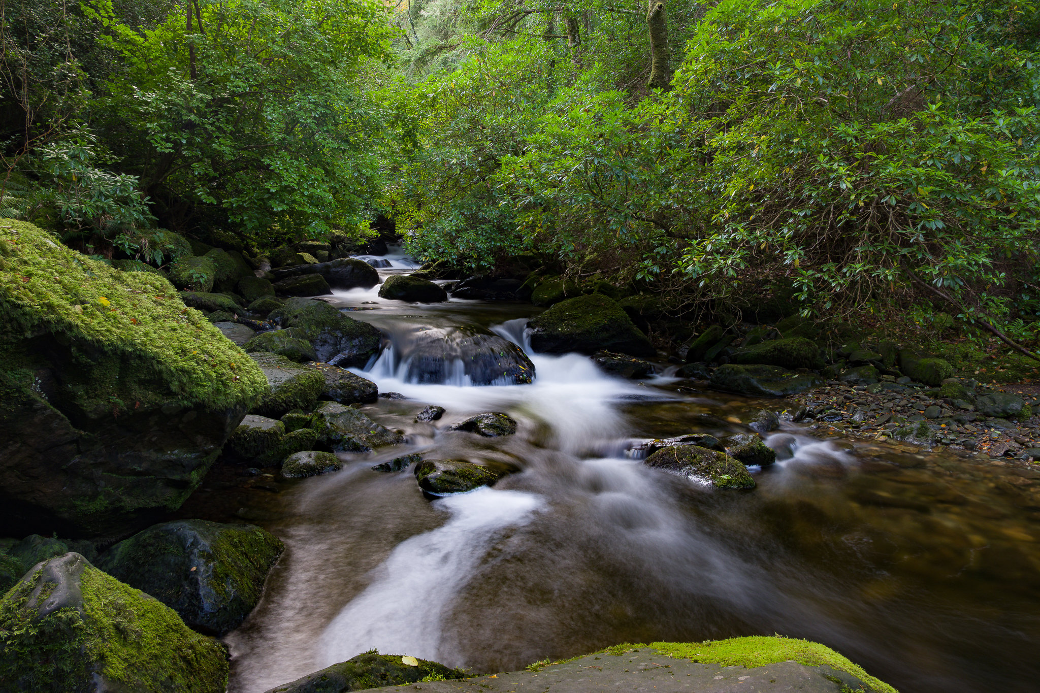 Stream