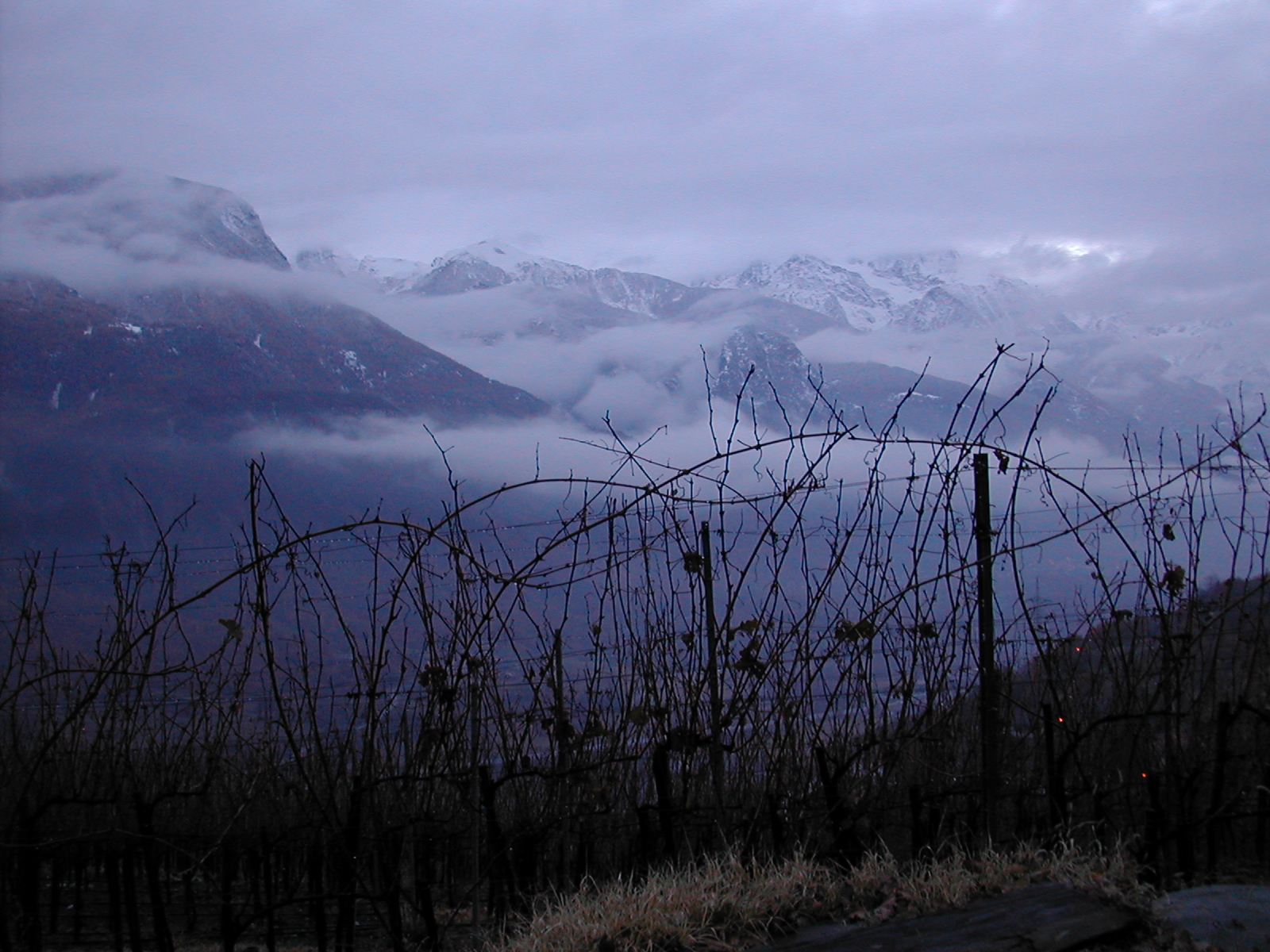 Verrà la neve, a breve