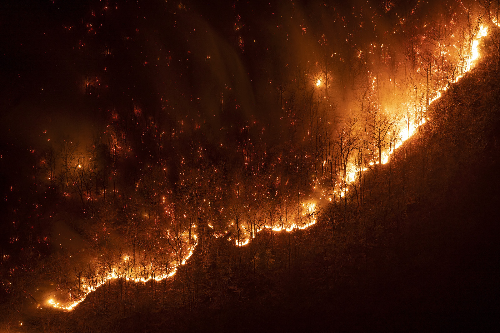 Il terribile fascino del fuoco