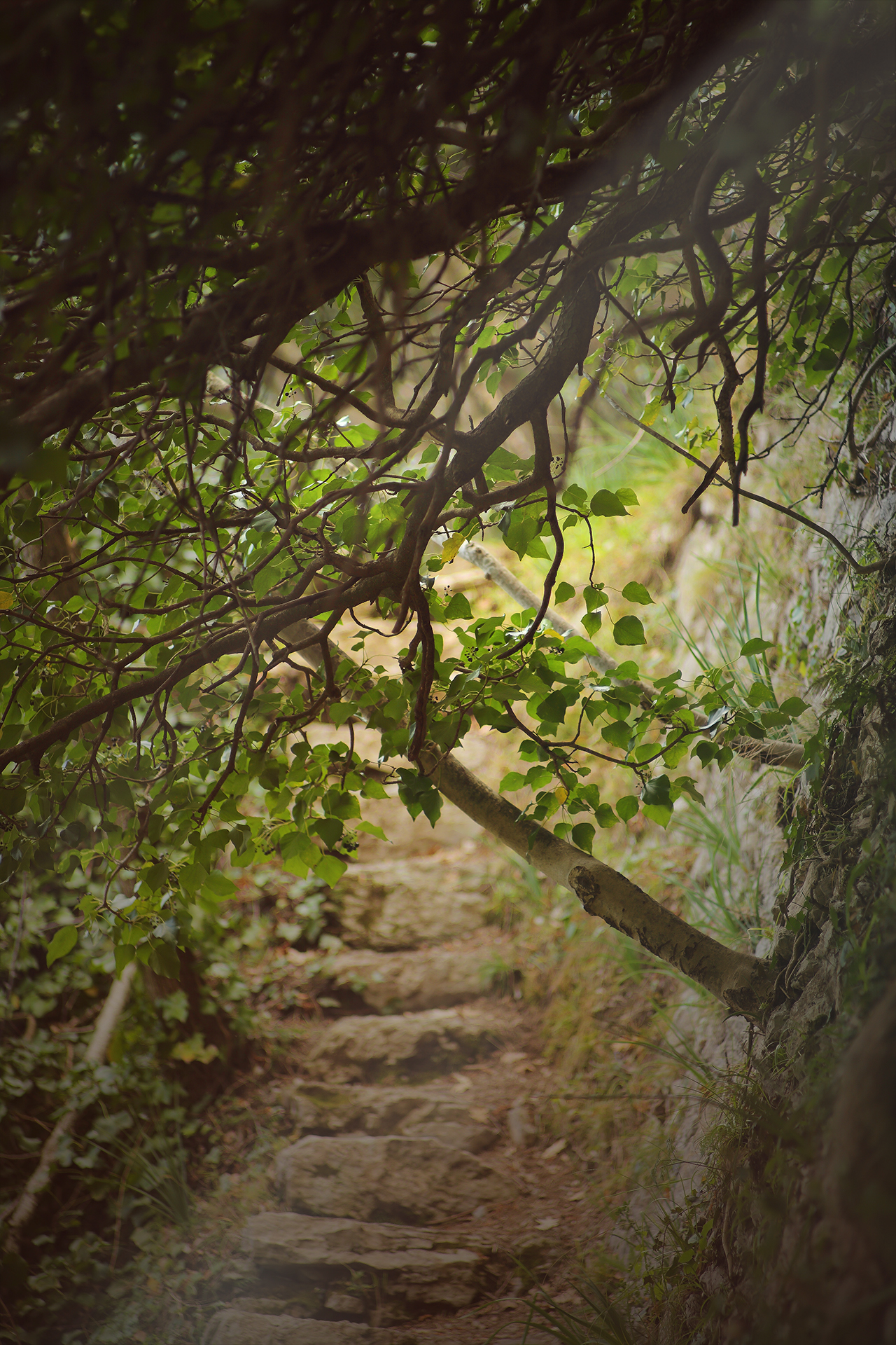 Untitled Photo