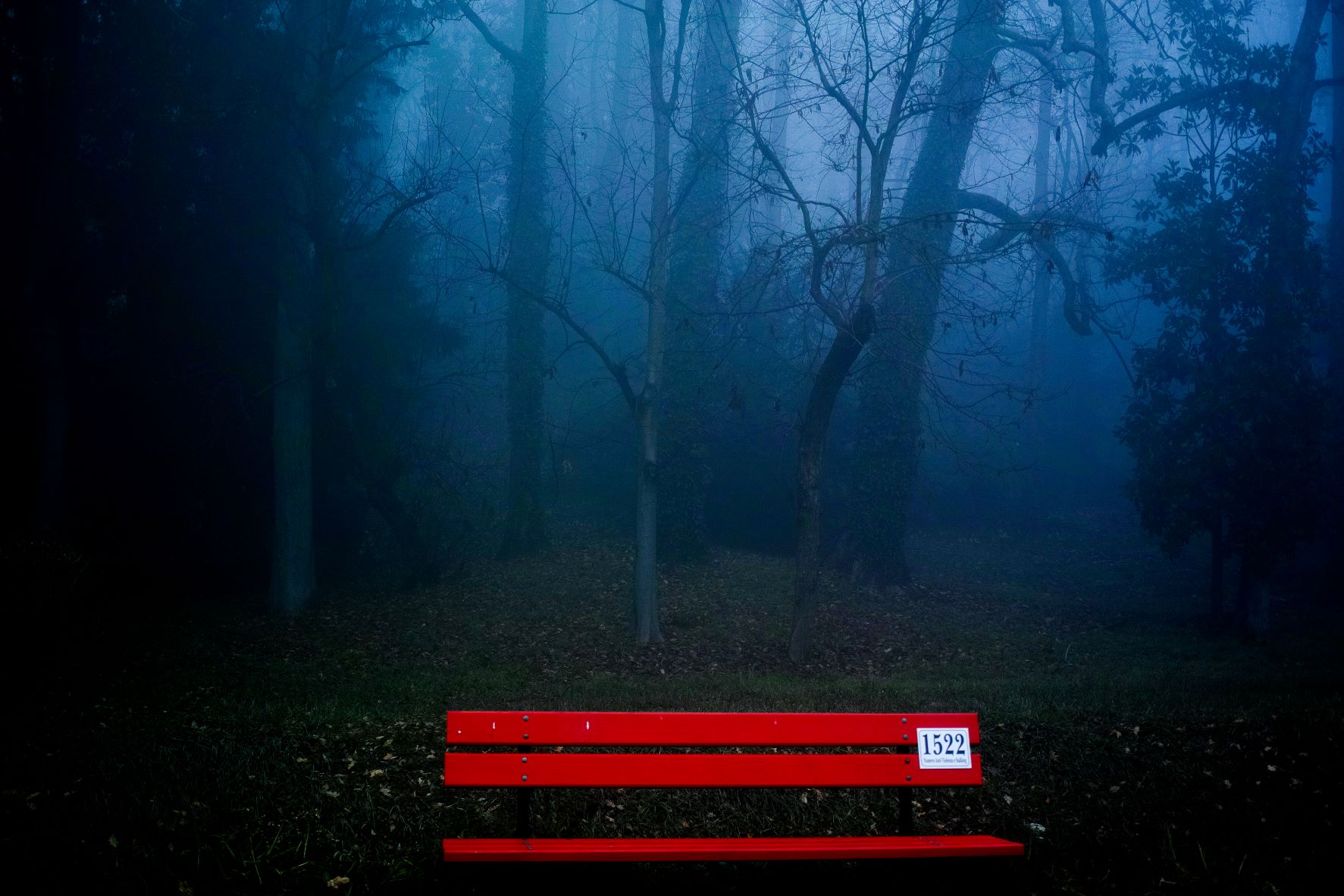 The red bench