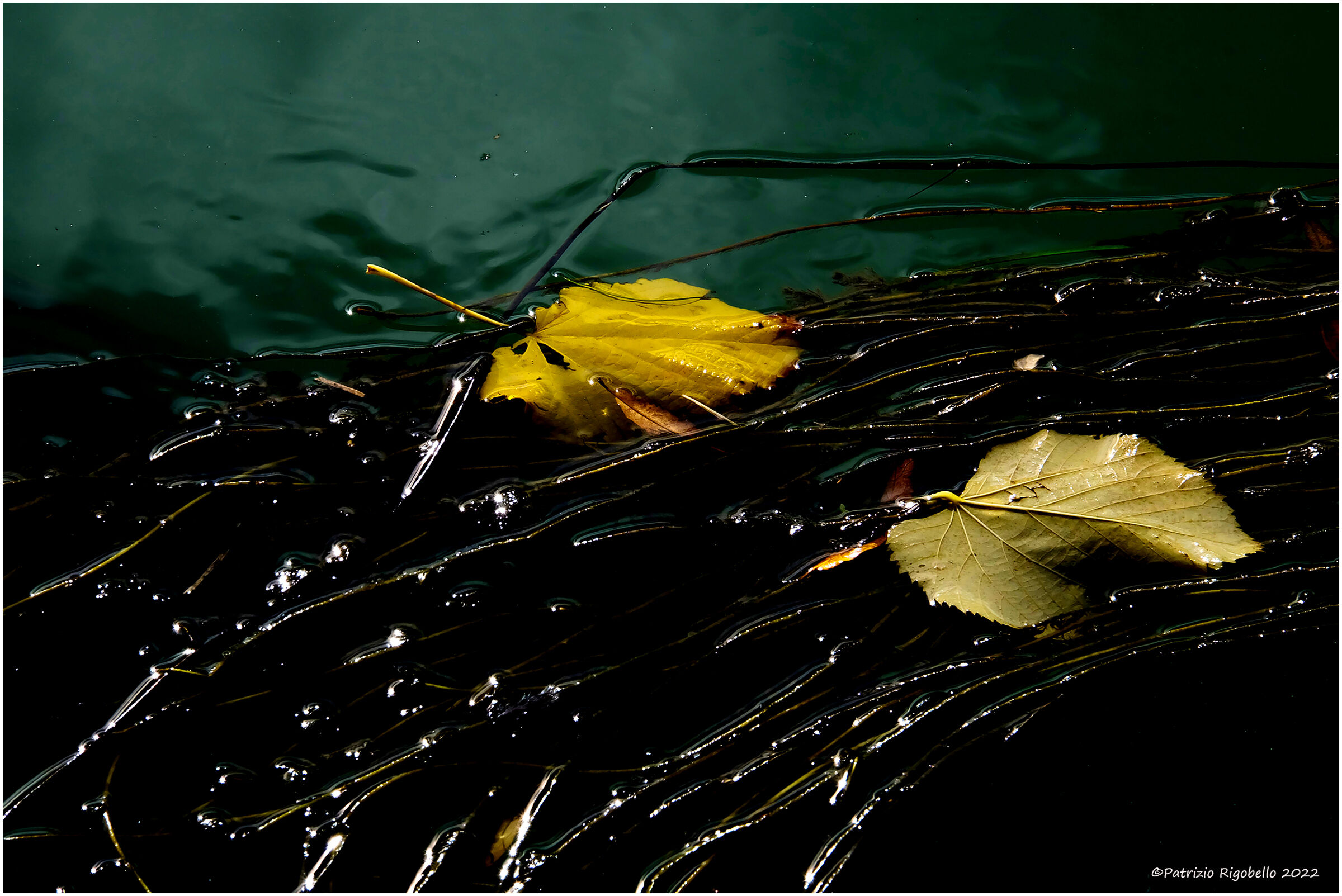 Together in the current