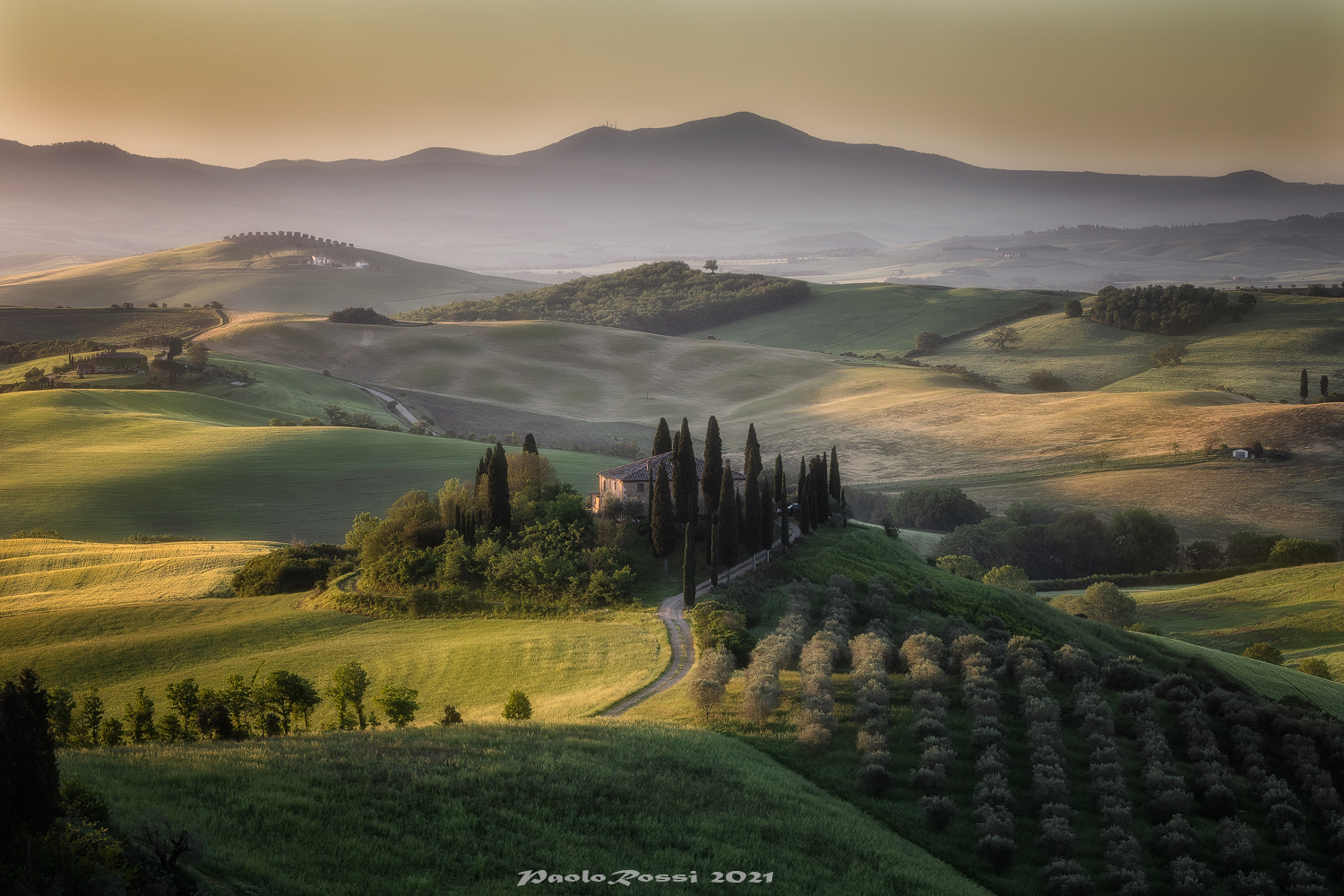 Sunrise at the belvedere farm...