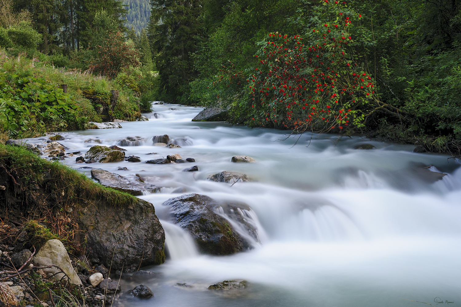 Ruscello delle Dolomiti