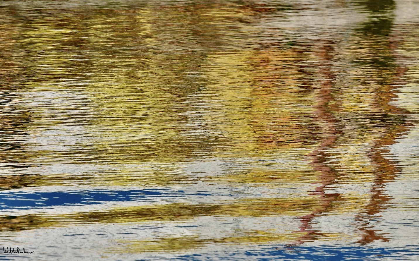 The colors of the river 20