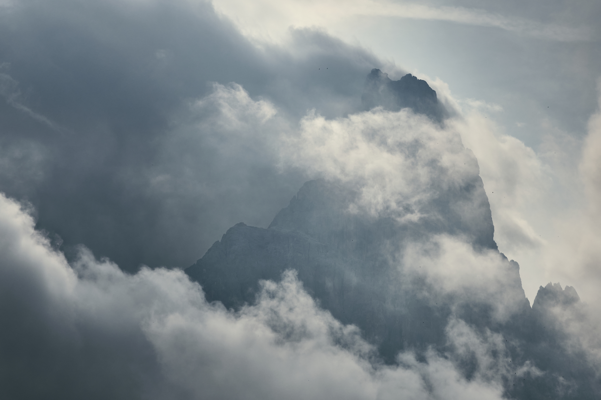 silhouette of the giant